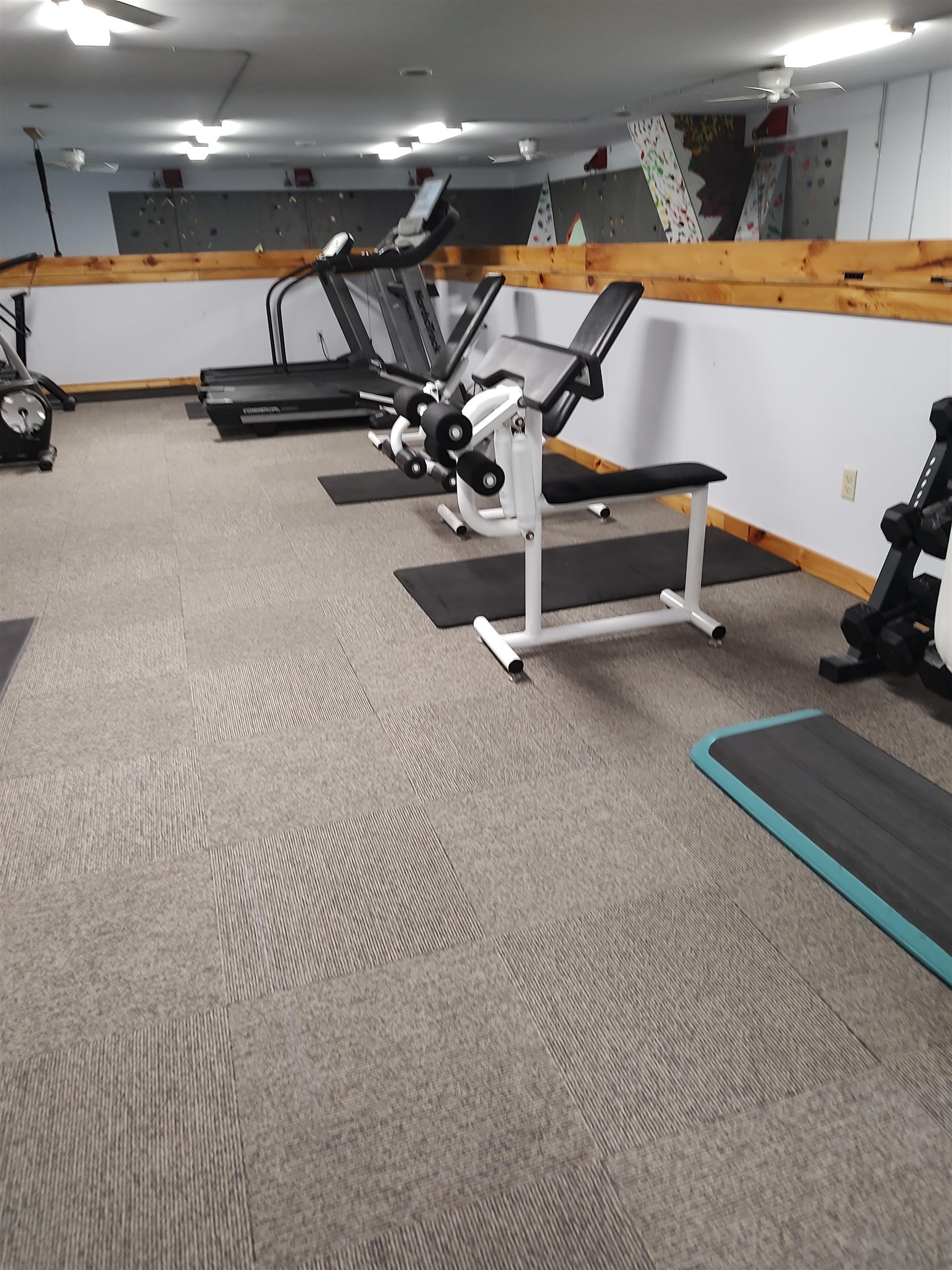 6 Park Street Property Photo 52