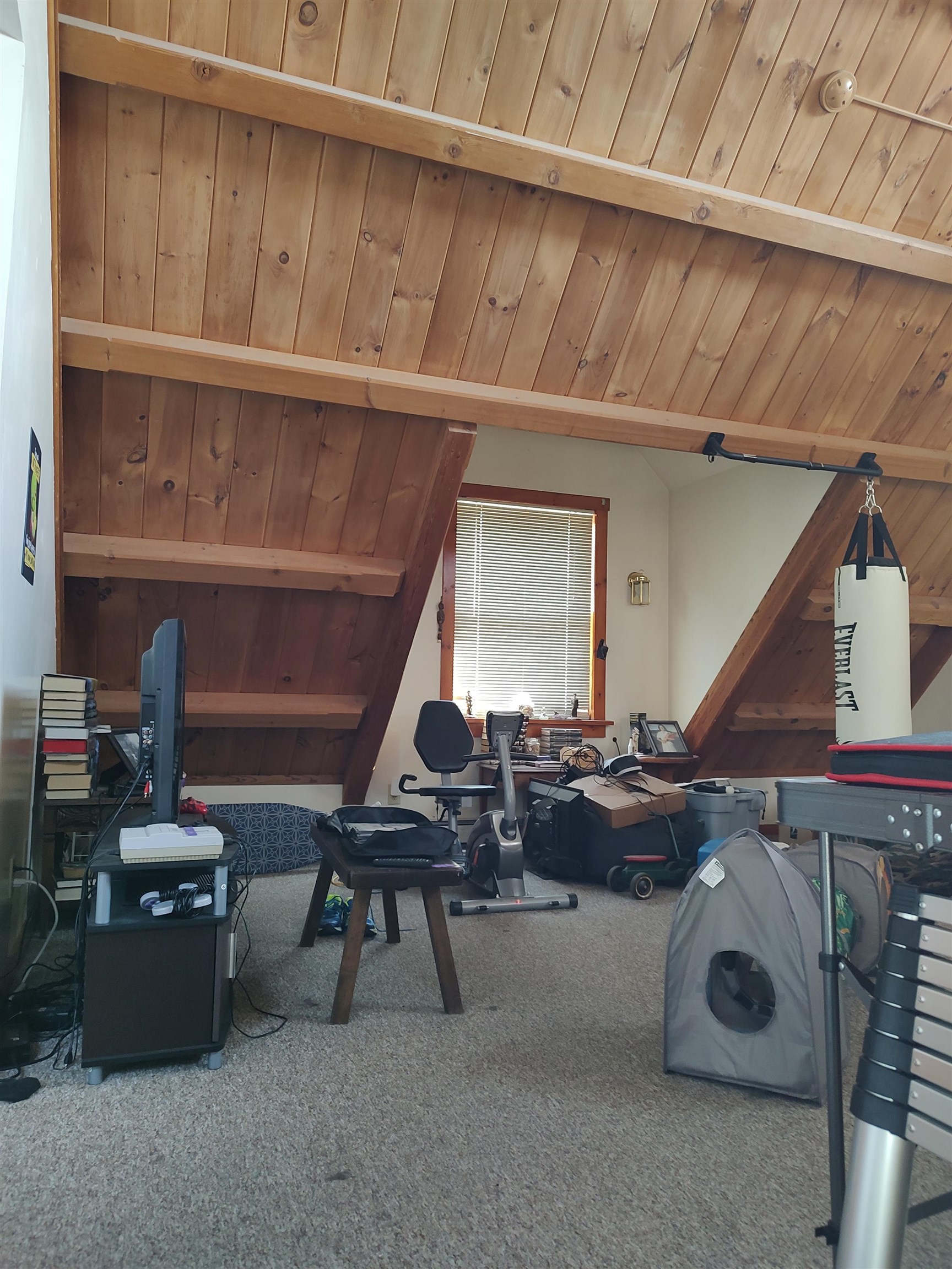 6 Park Street Property Photo 34