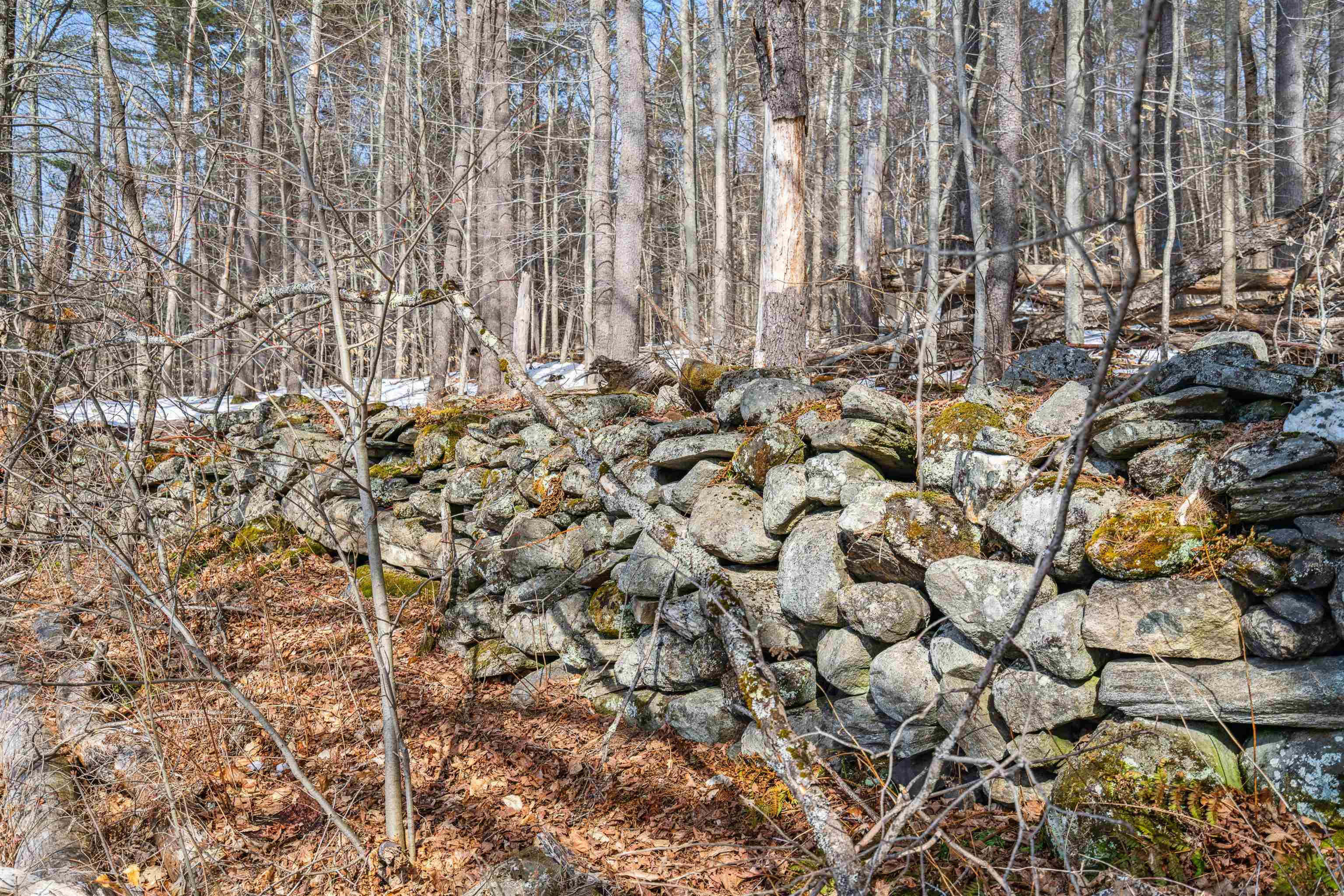 181 Banister Road Property Photo 15