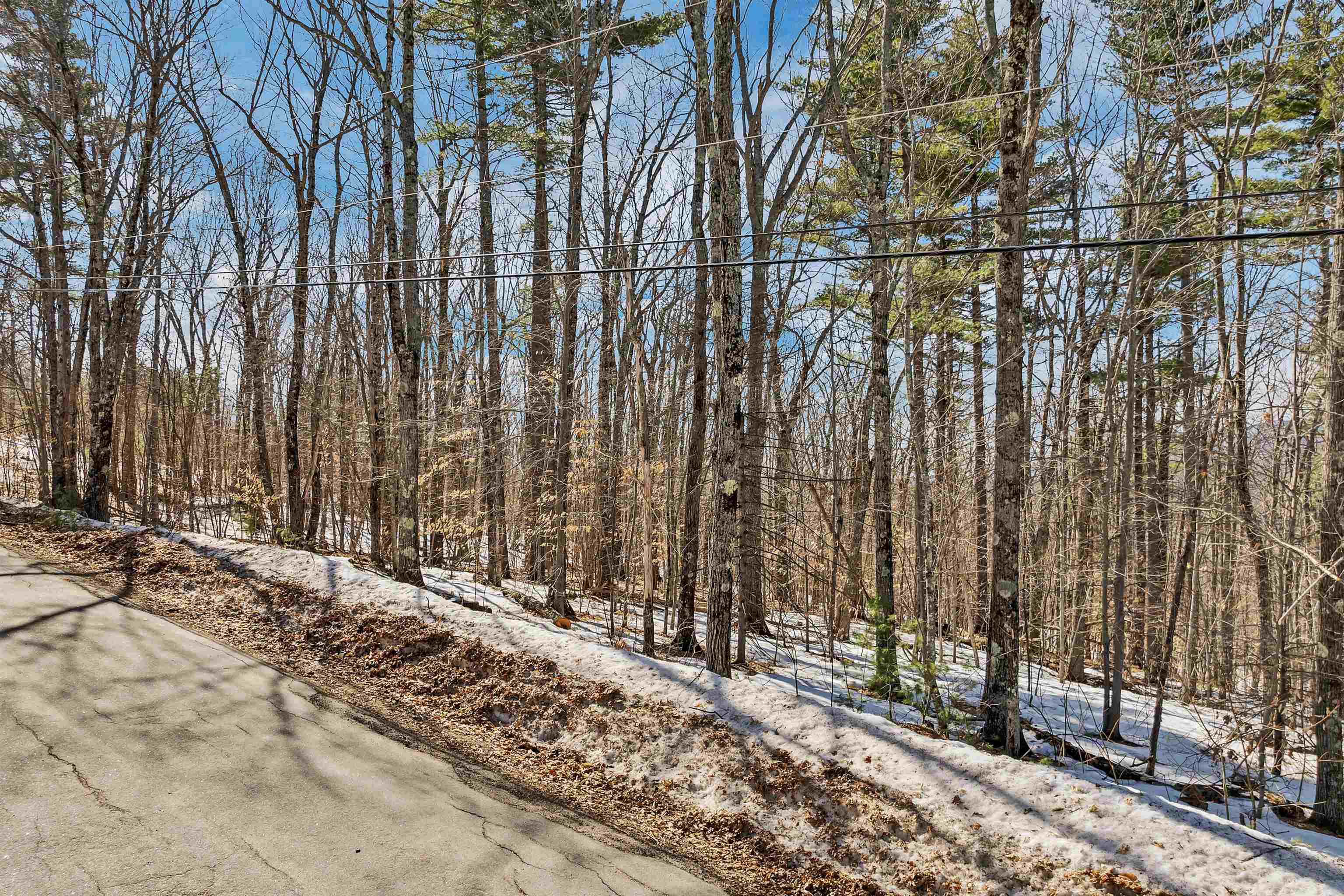 15 Klausen Road Property Photo 37