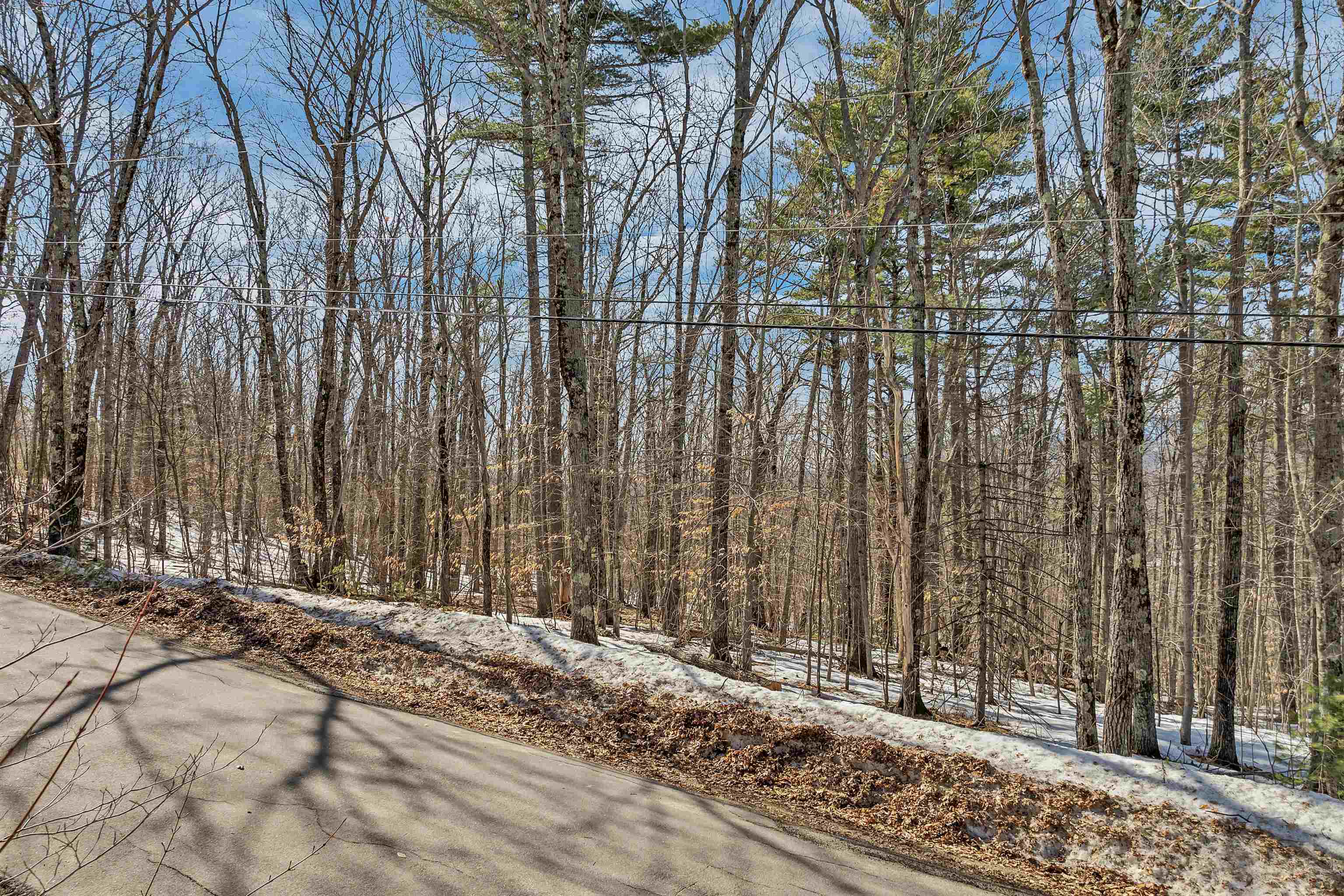 15 Klausen Road Property Photo 38
