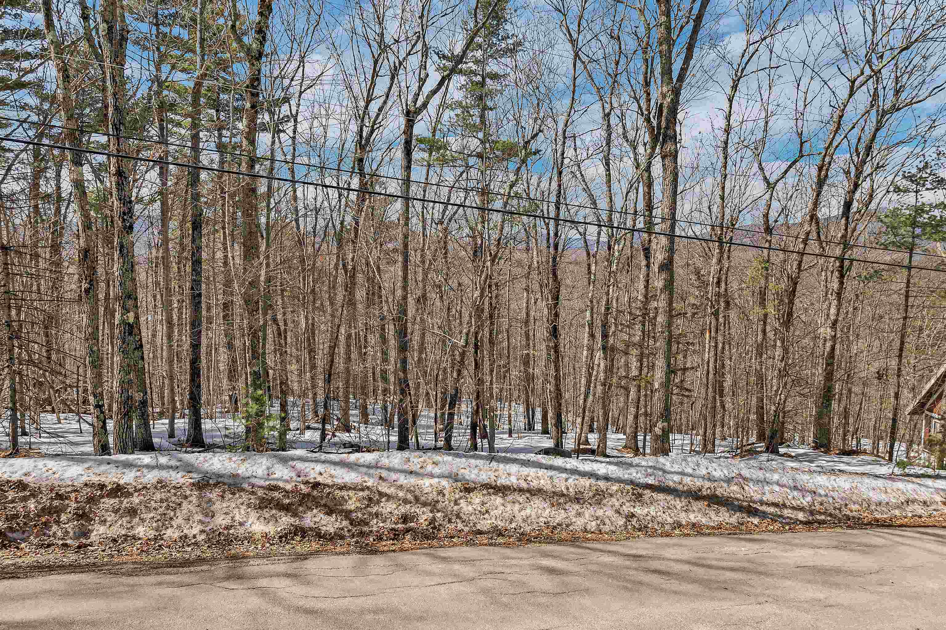 15 Klausen Road Property Photo 39