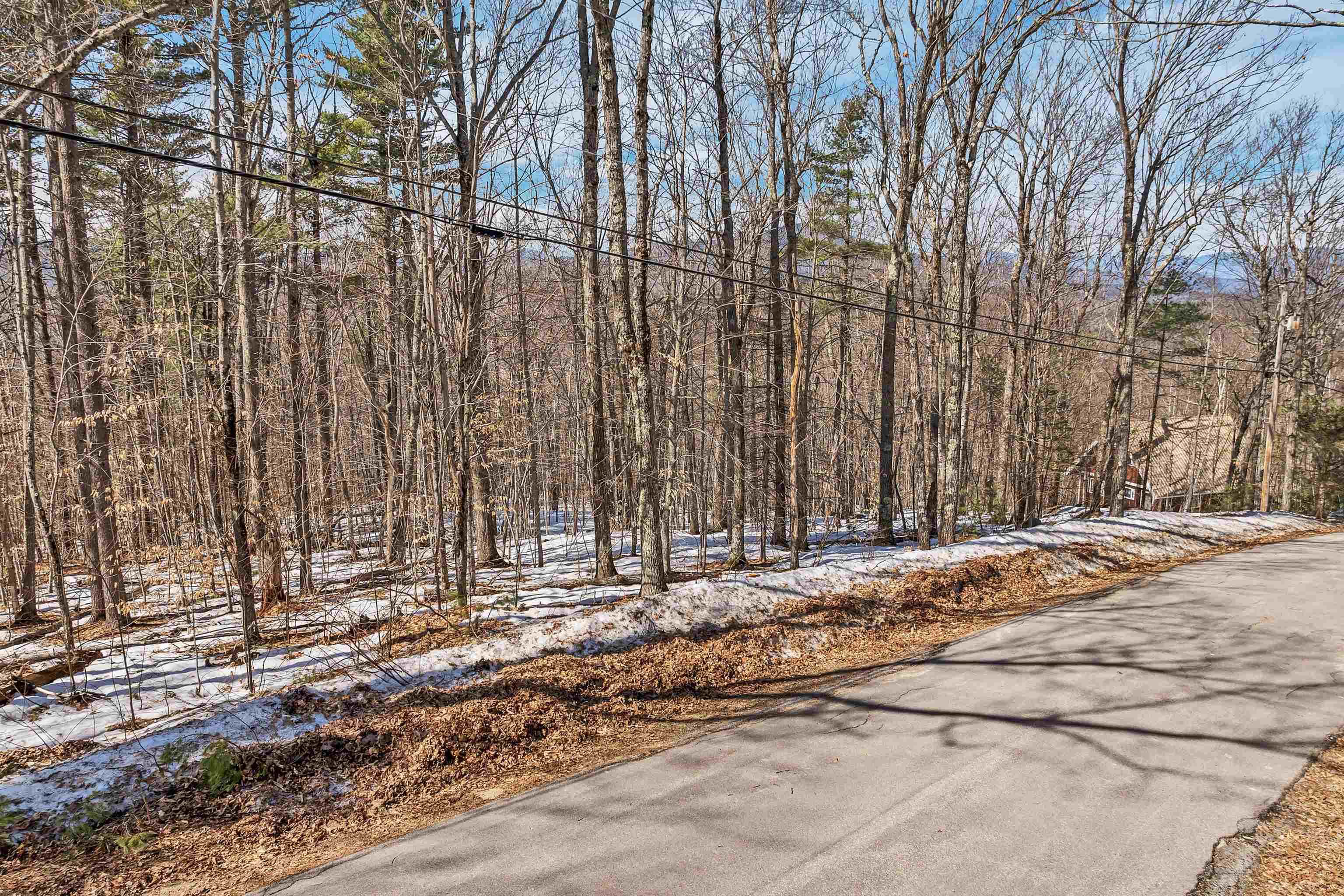 15 Klausen Road Property Photo 40