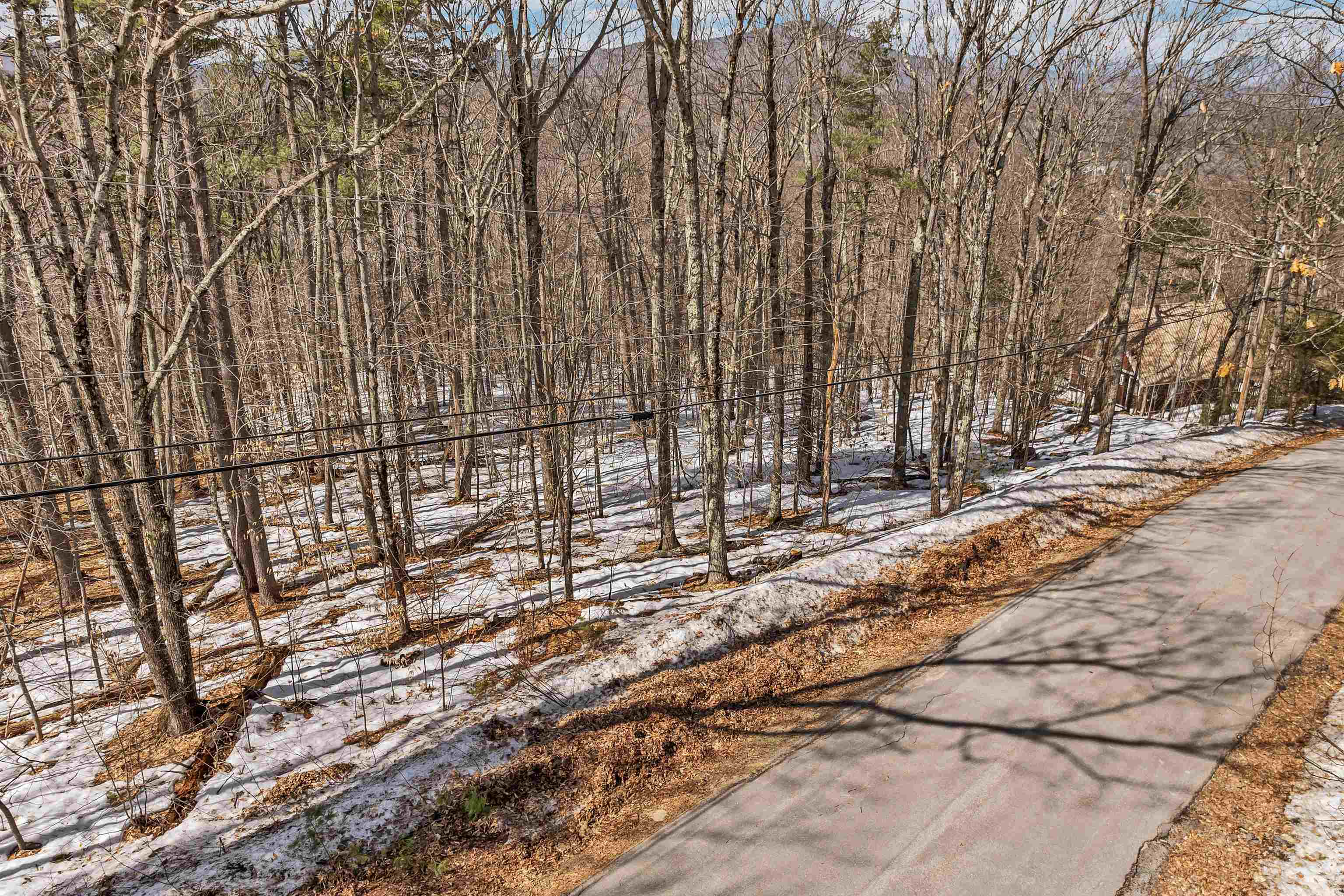 15 Klausen Road Property Photo 41