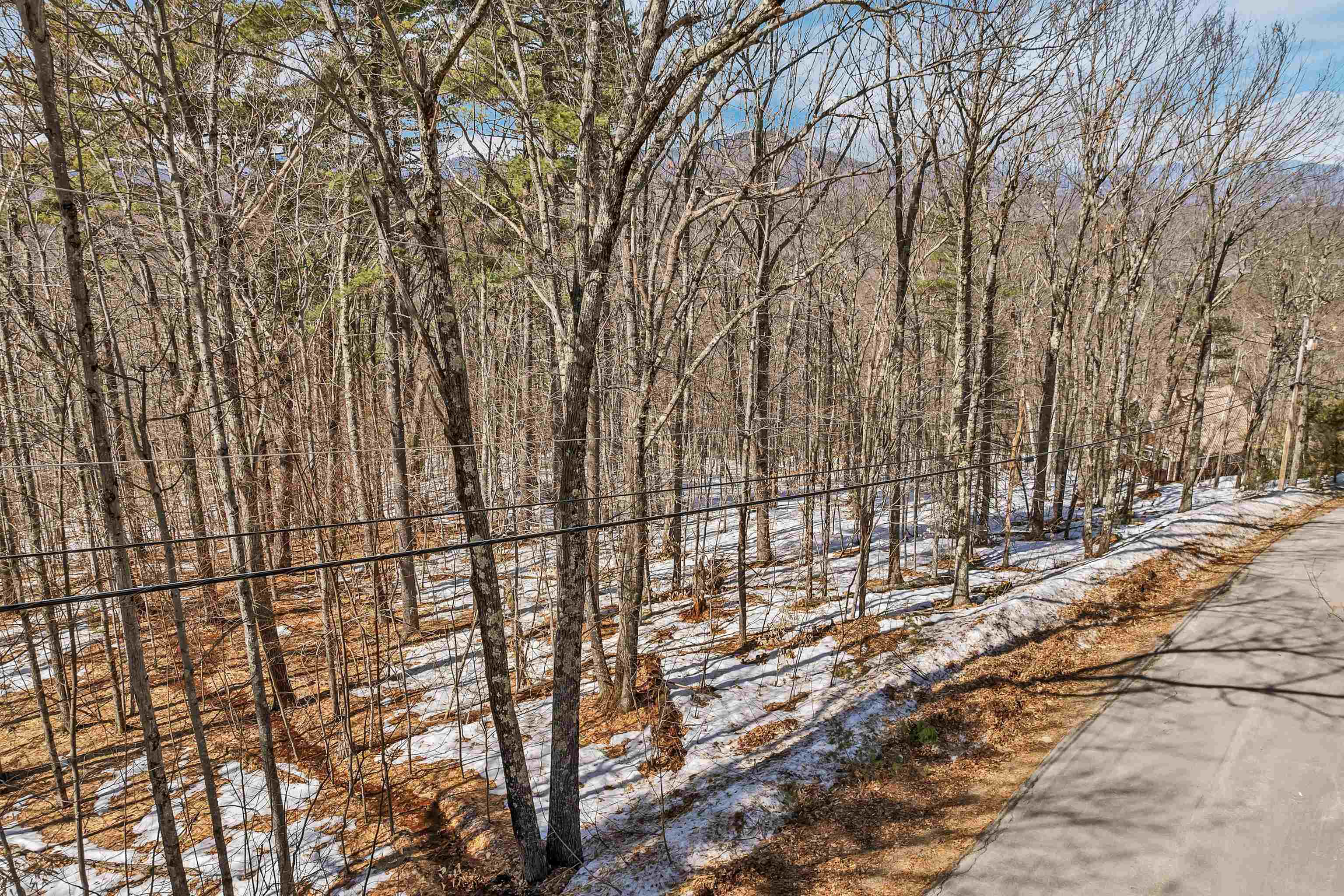 15 Klausen Road Property Photo 42