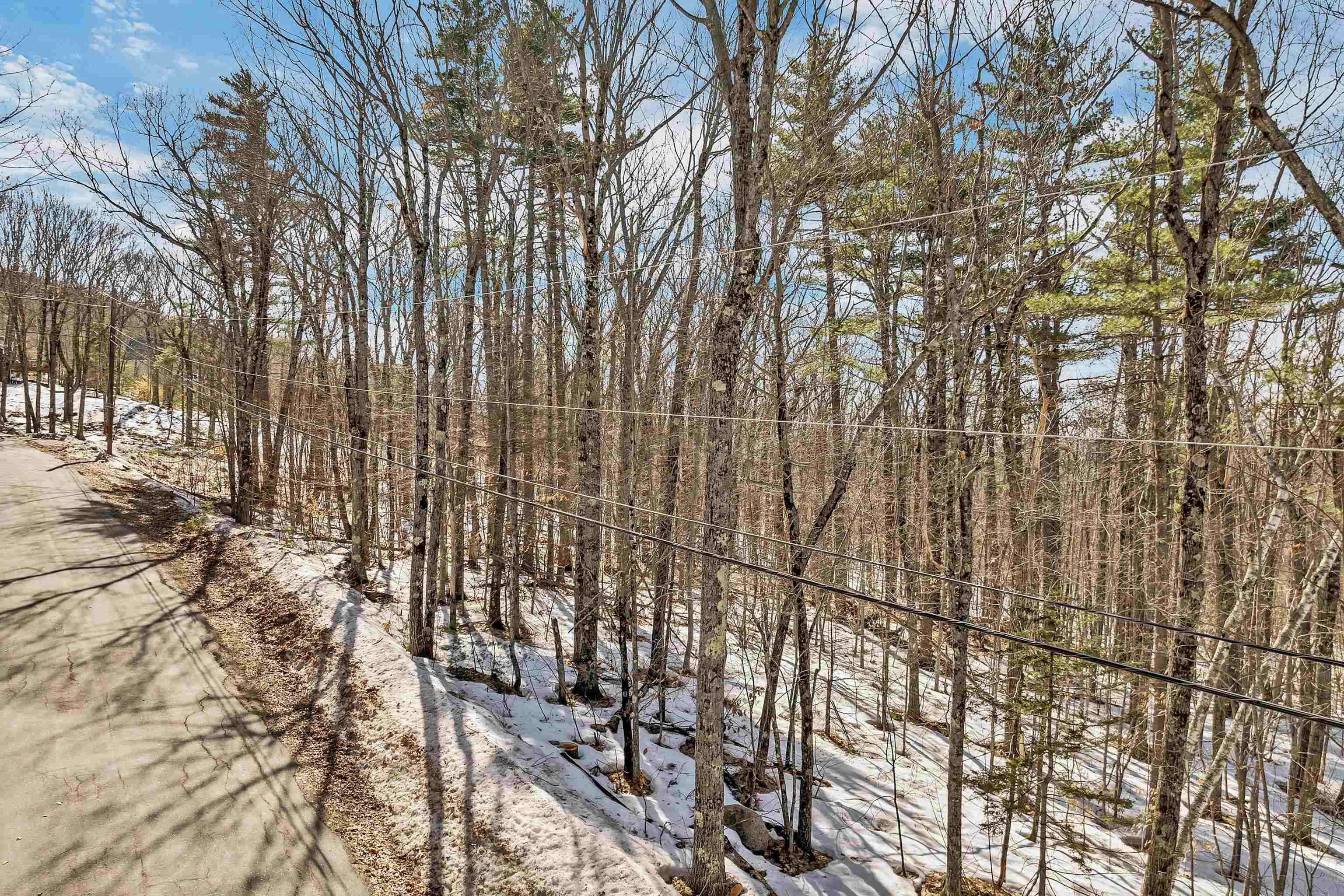 15 Klausen Road Property Photo 44