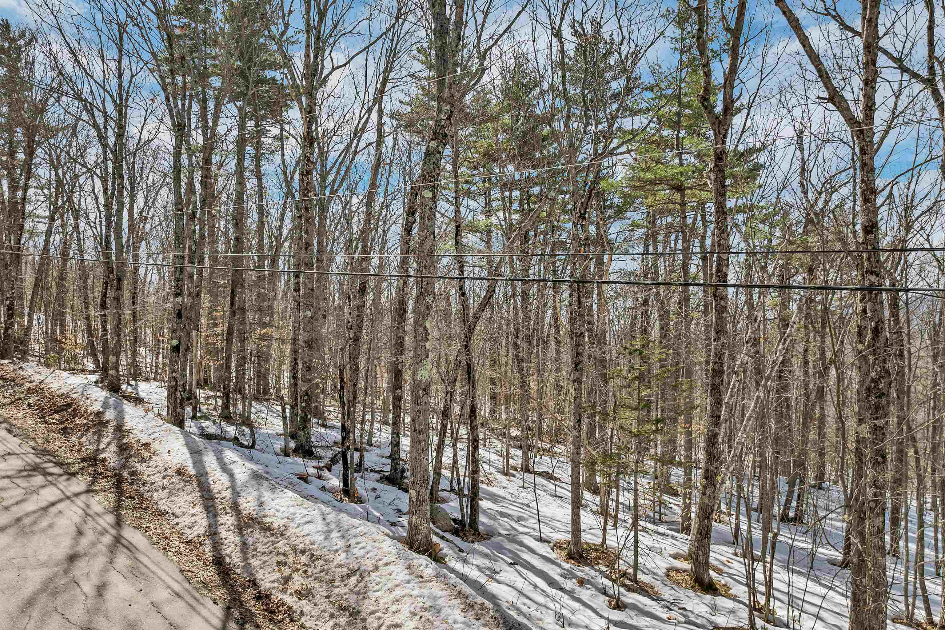 15 Klausen Road Property Photo 45