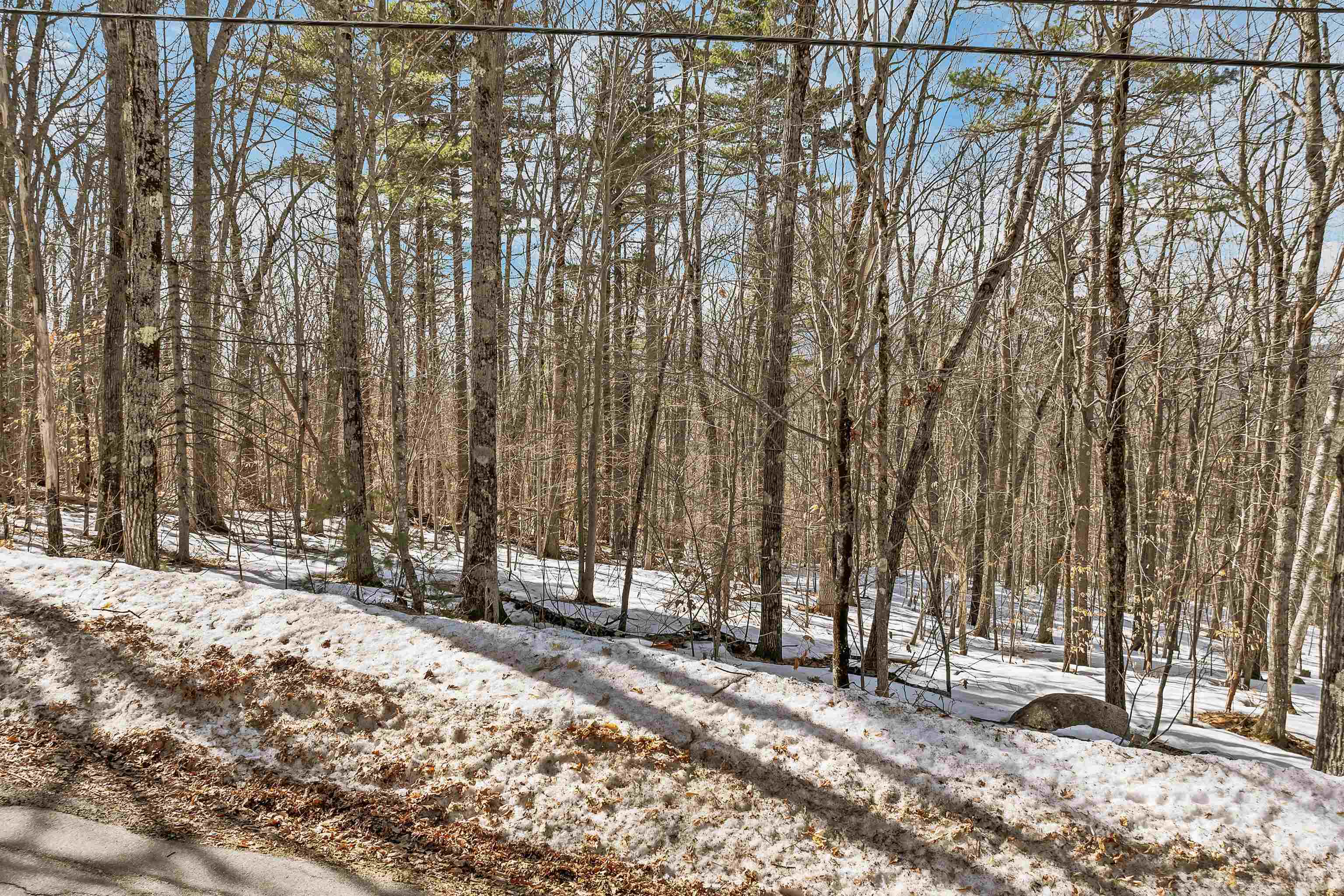 15 Klausen Road Property Photo 49