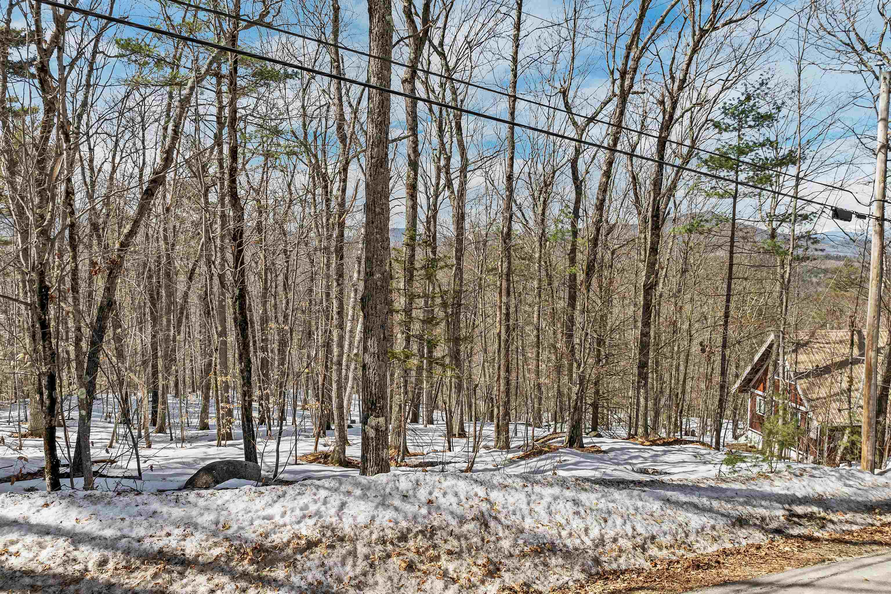 15 Klausen Road Property Photo 50