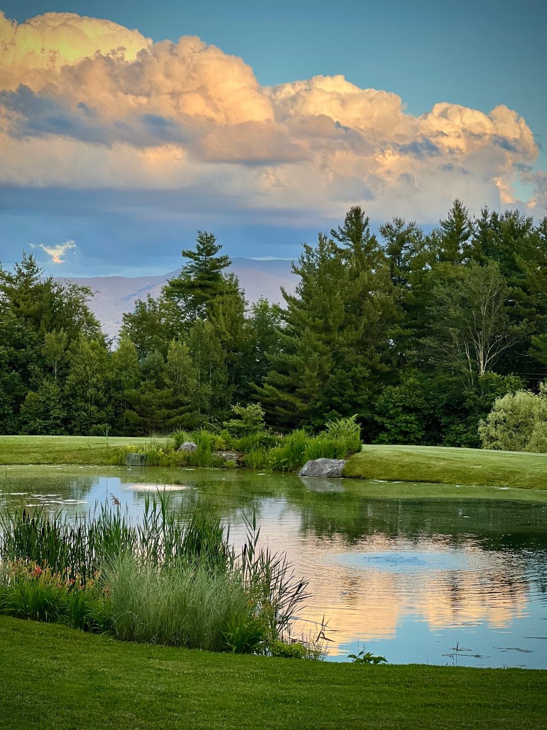 740 Edson Hill Road Property Photo 6