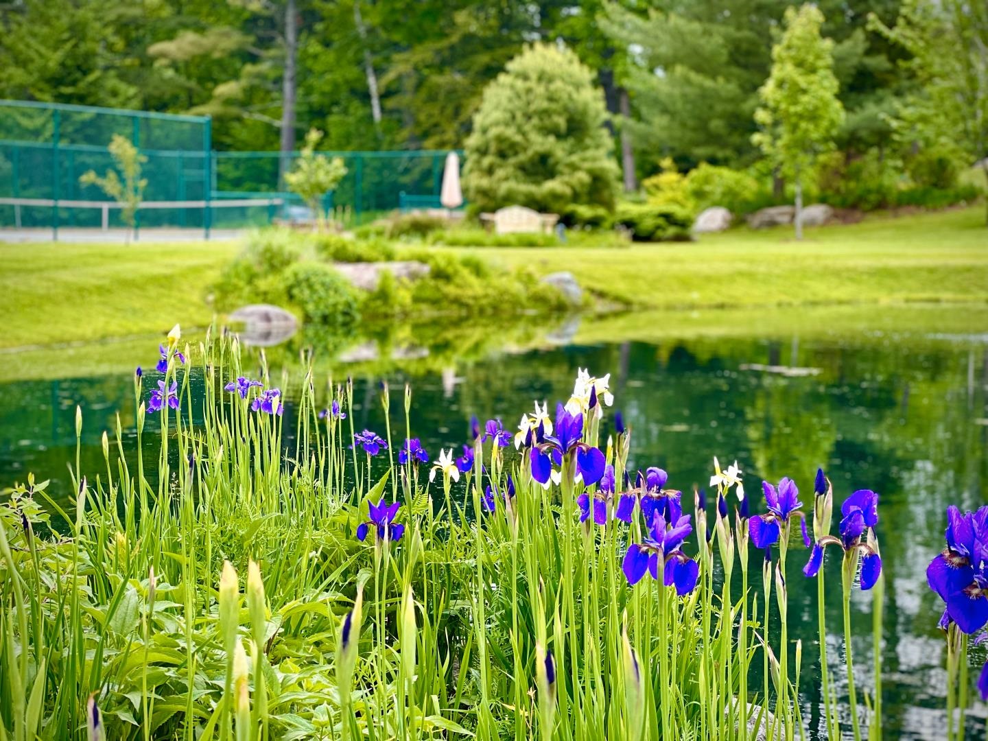 740 Edson Hill Road Property Photo 8