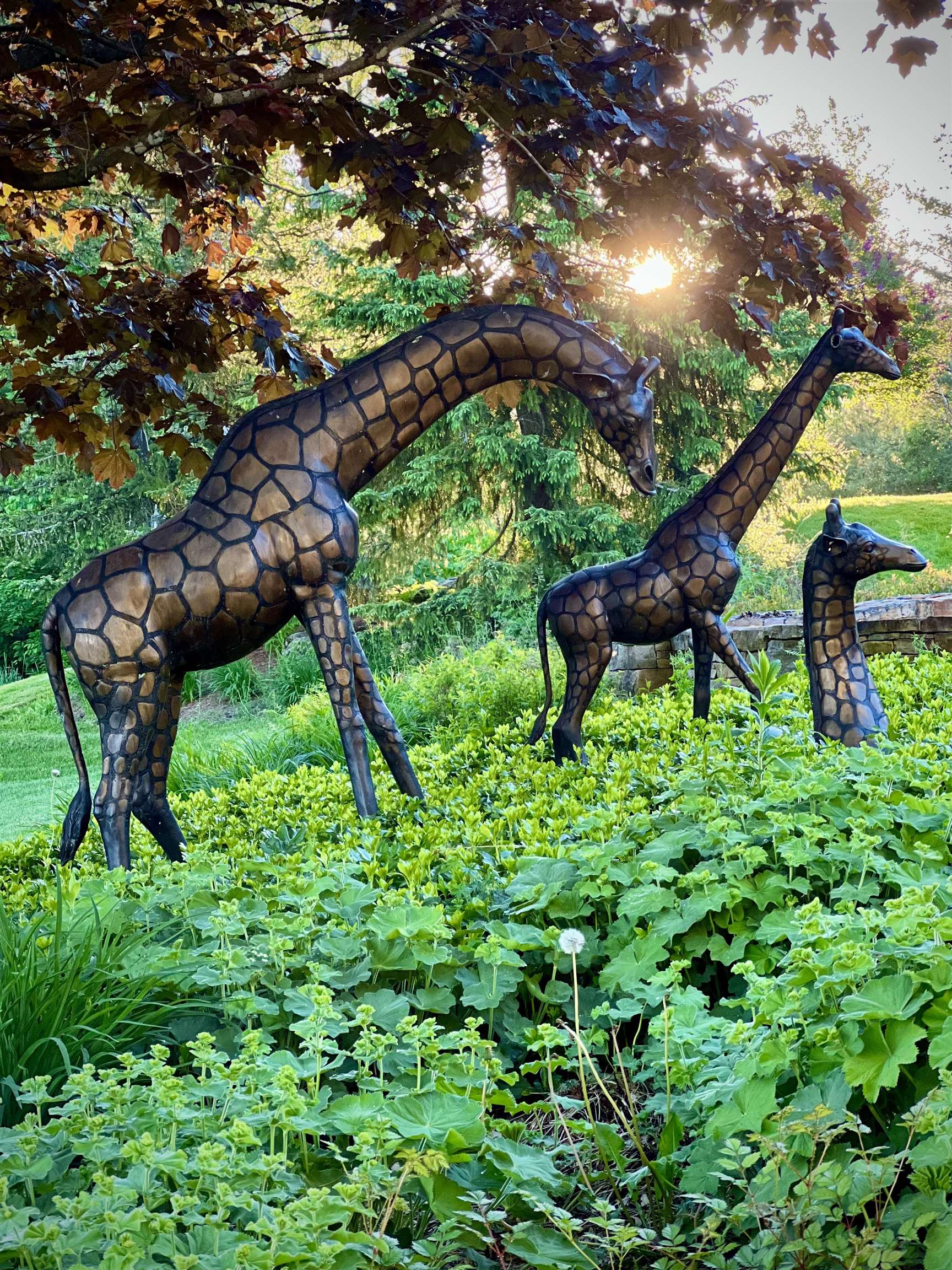 740 Edson Hill Road Property Photo 14