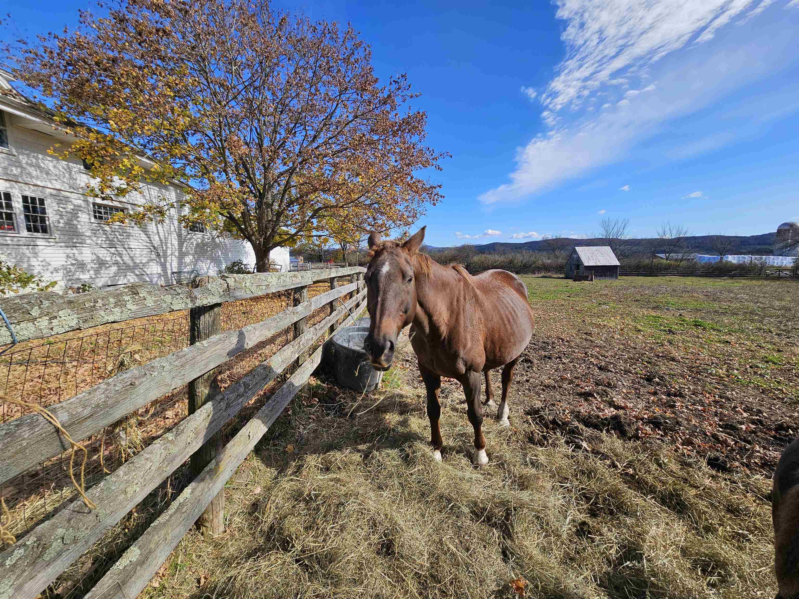 3356 Route 22a Property Photo 17