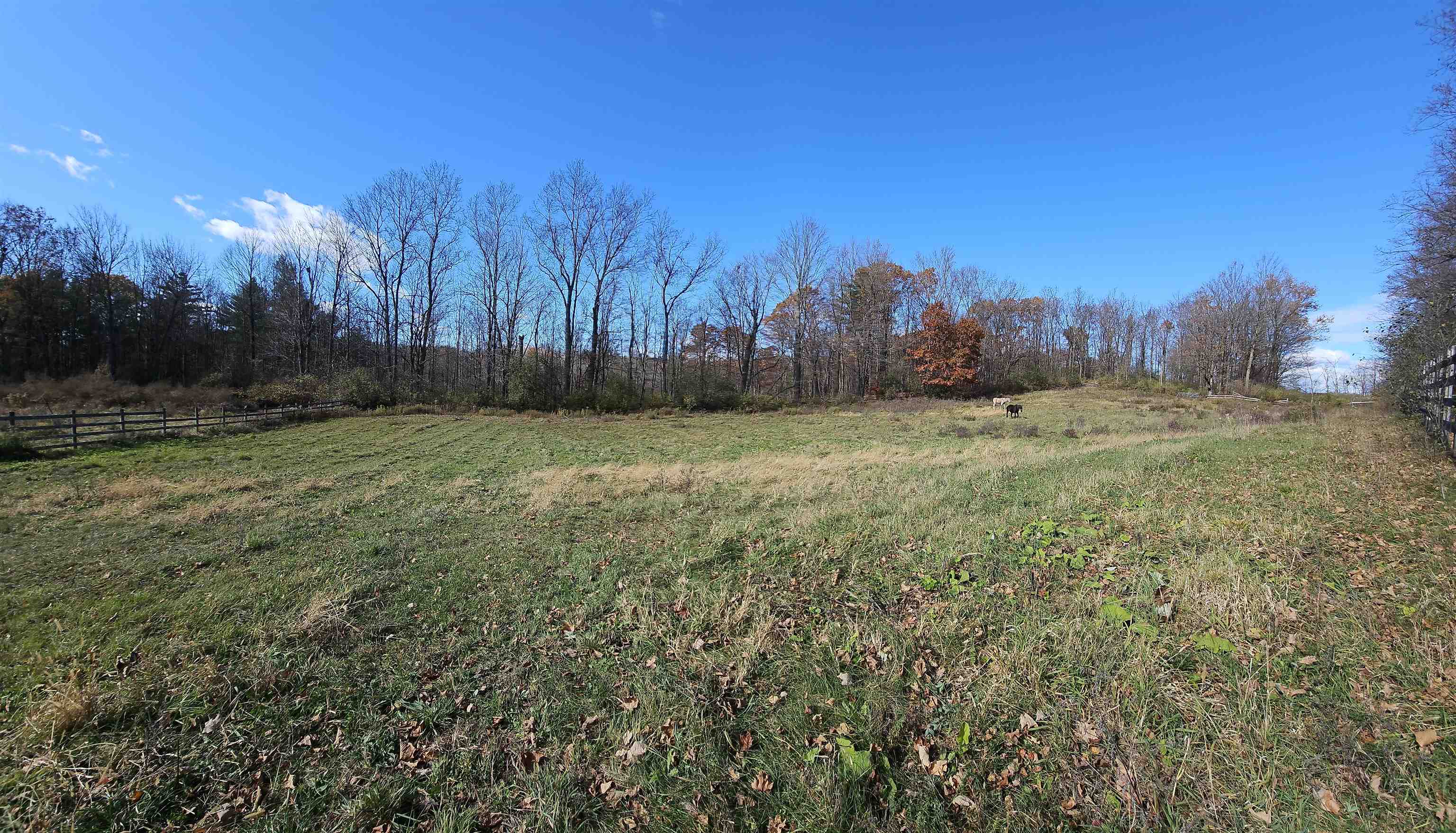 3356 Route 22a Property Photo 19