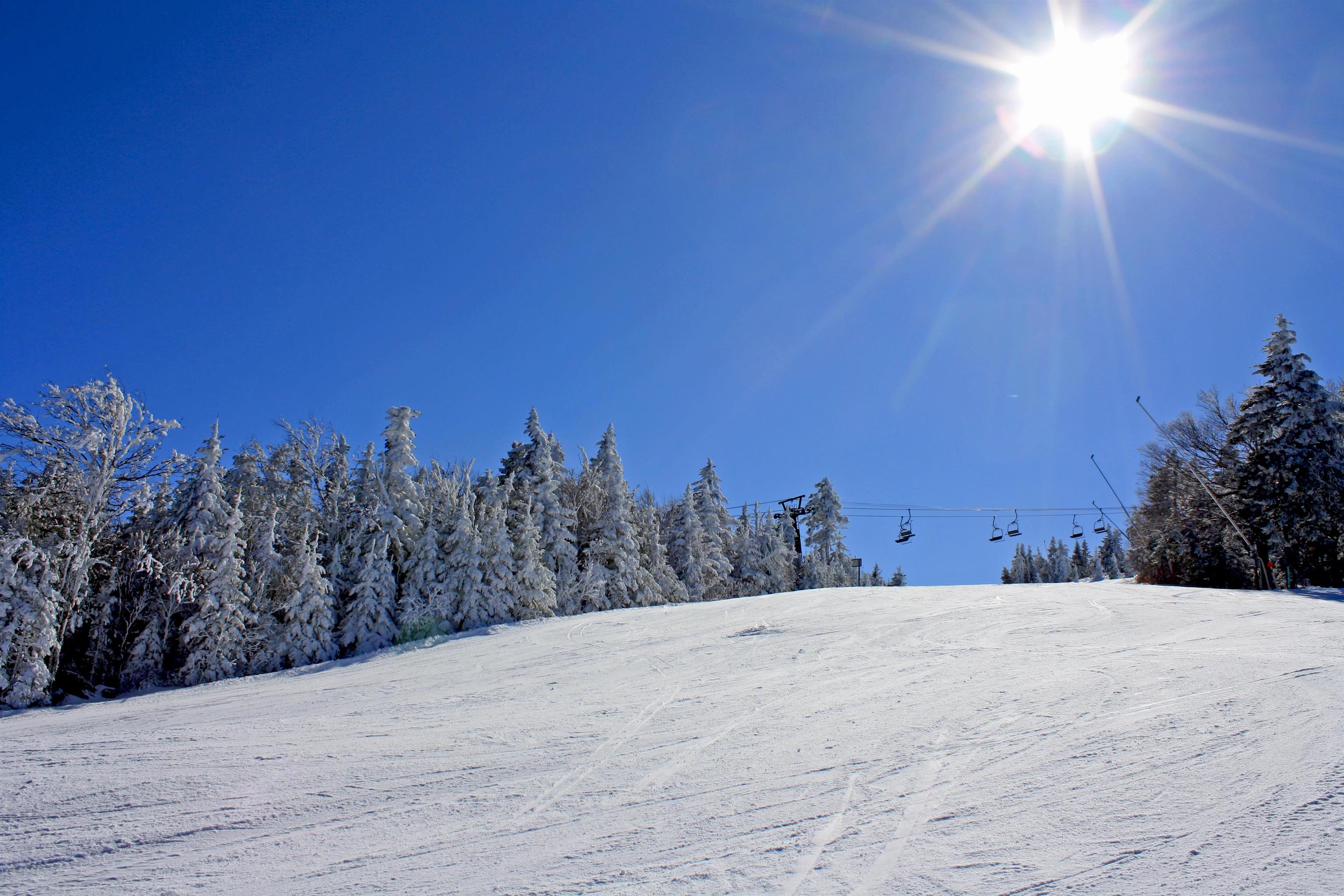 74 Spaulding Road Property Photo 54