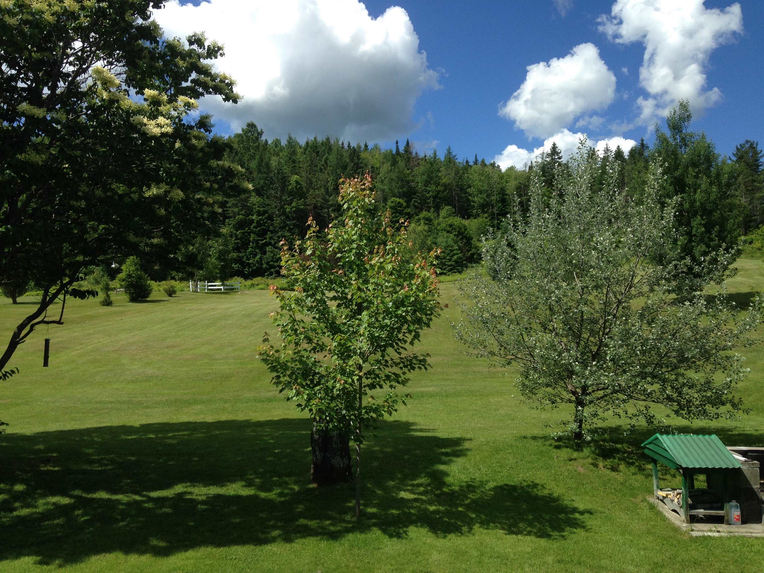 356 Pleasant Street Property Photo 50