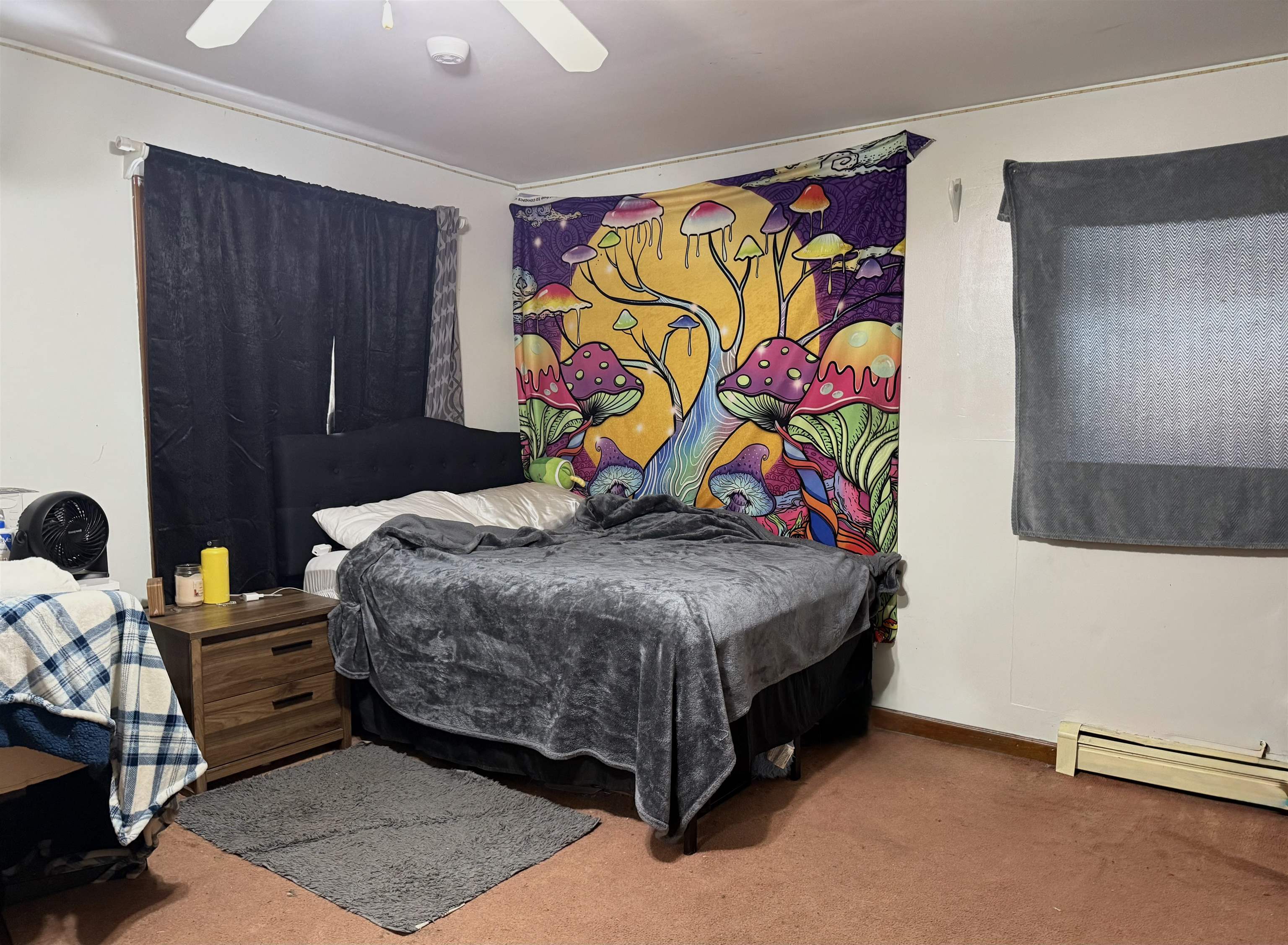 343 Haystack Road Property Photo 14
