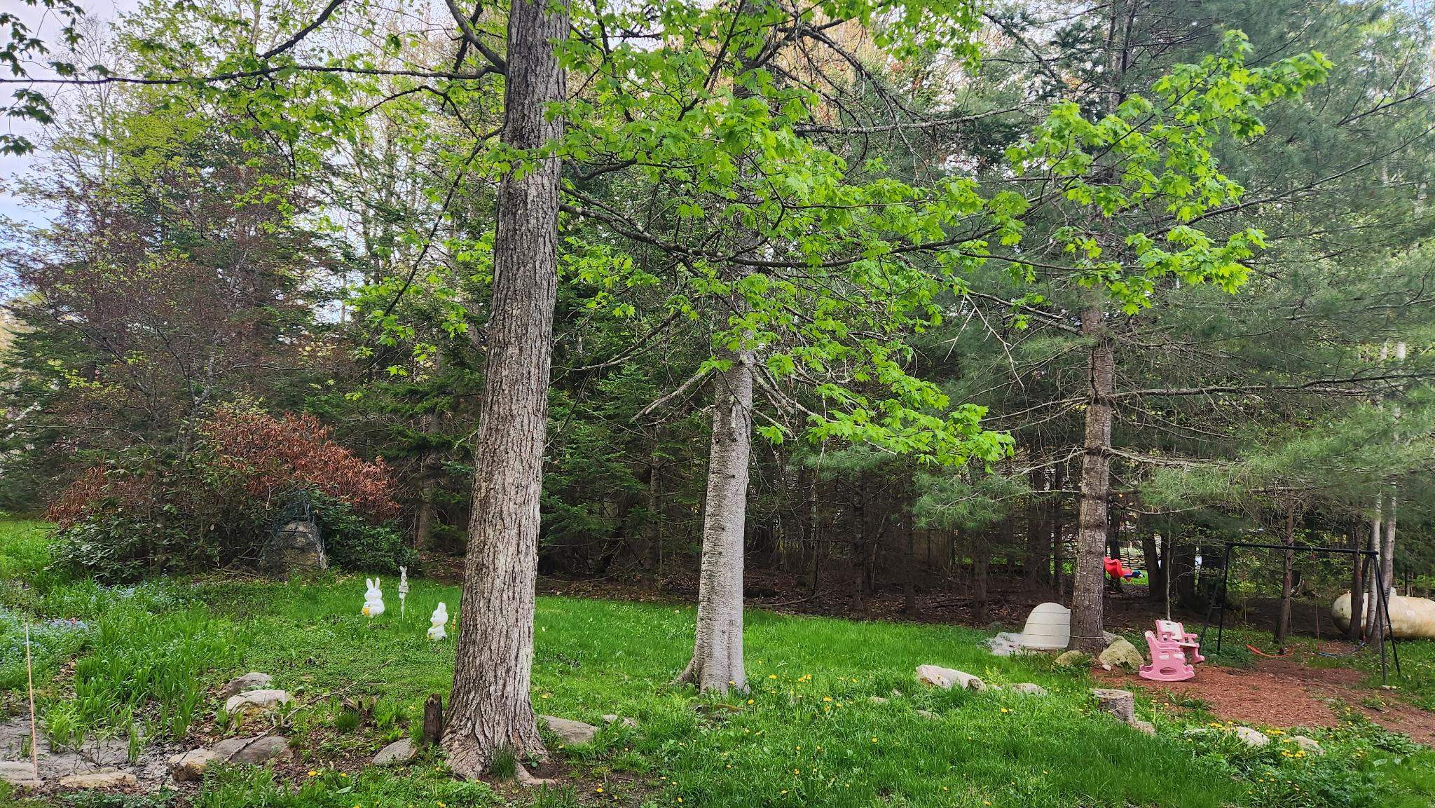 343 Haystack Road Property Photo 28