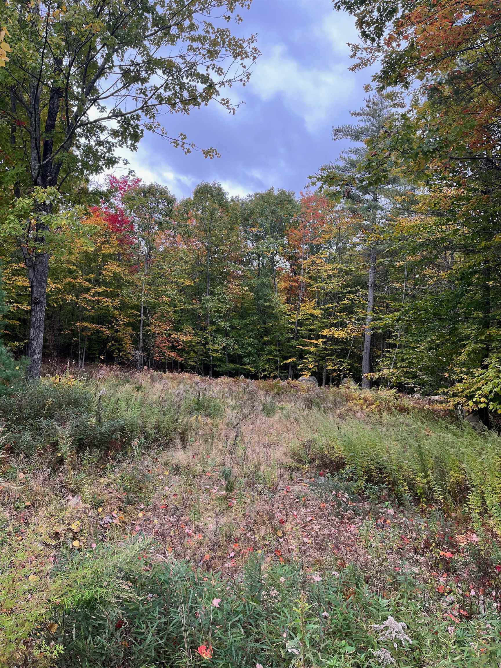 Lot 12 Daniel Drive Property Photo