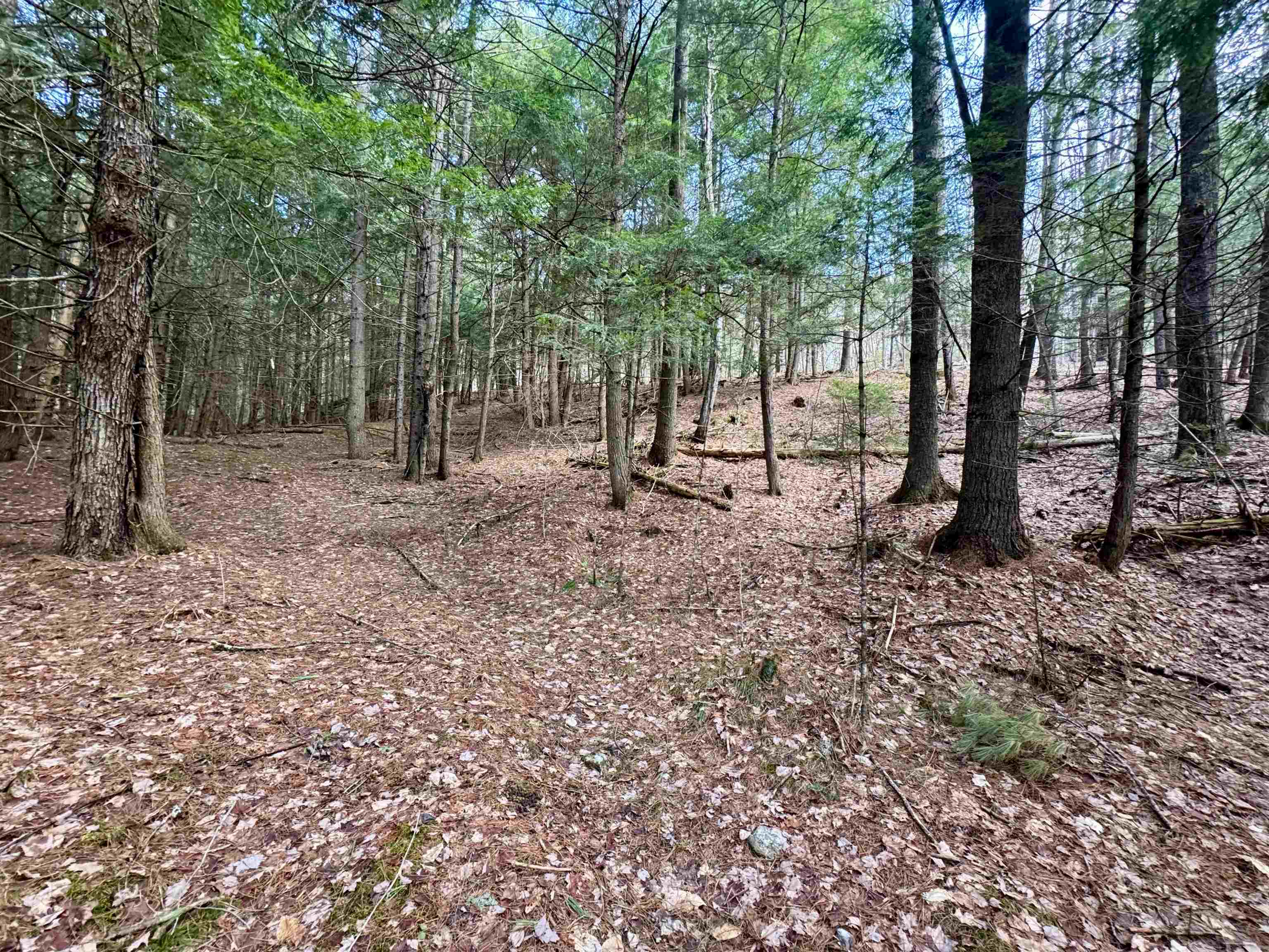 00 Quint Road Property Photo 16