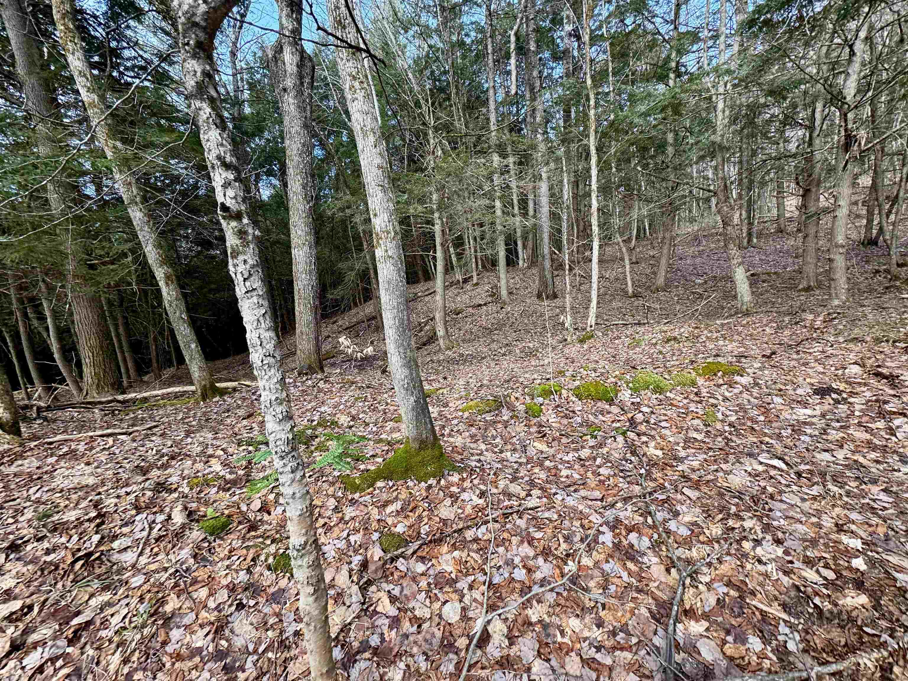 00 Quint Road Property Photo 18