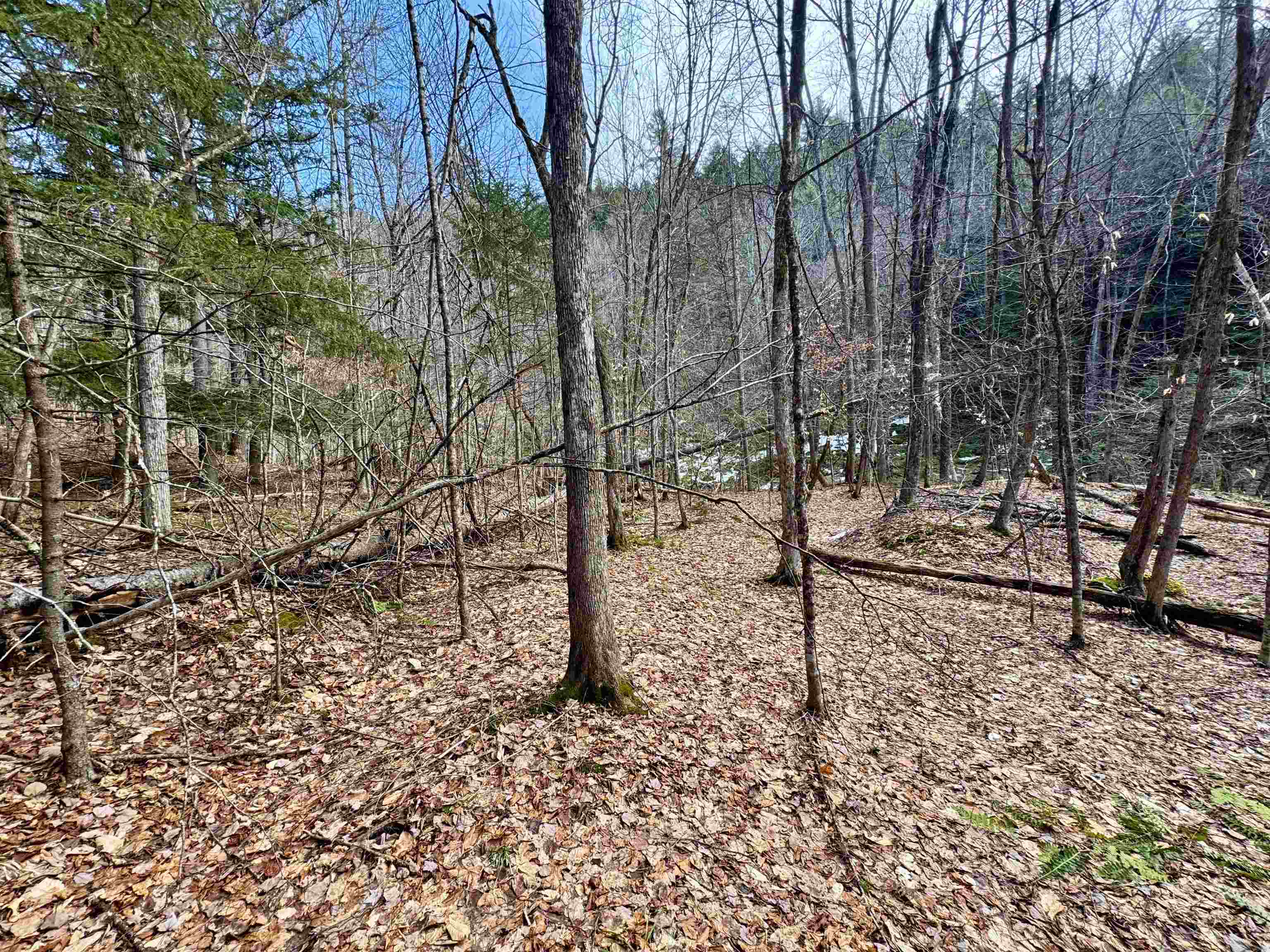 00 Quint Road Property Photo 19