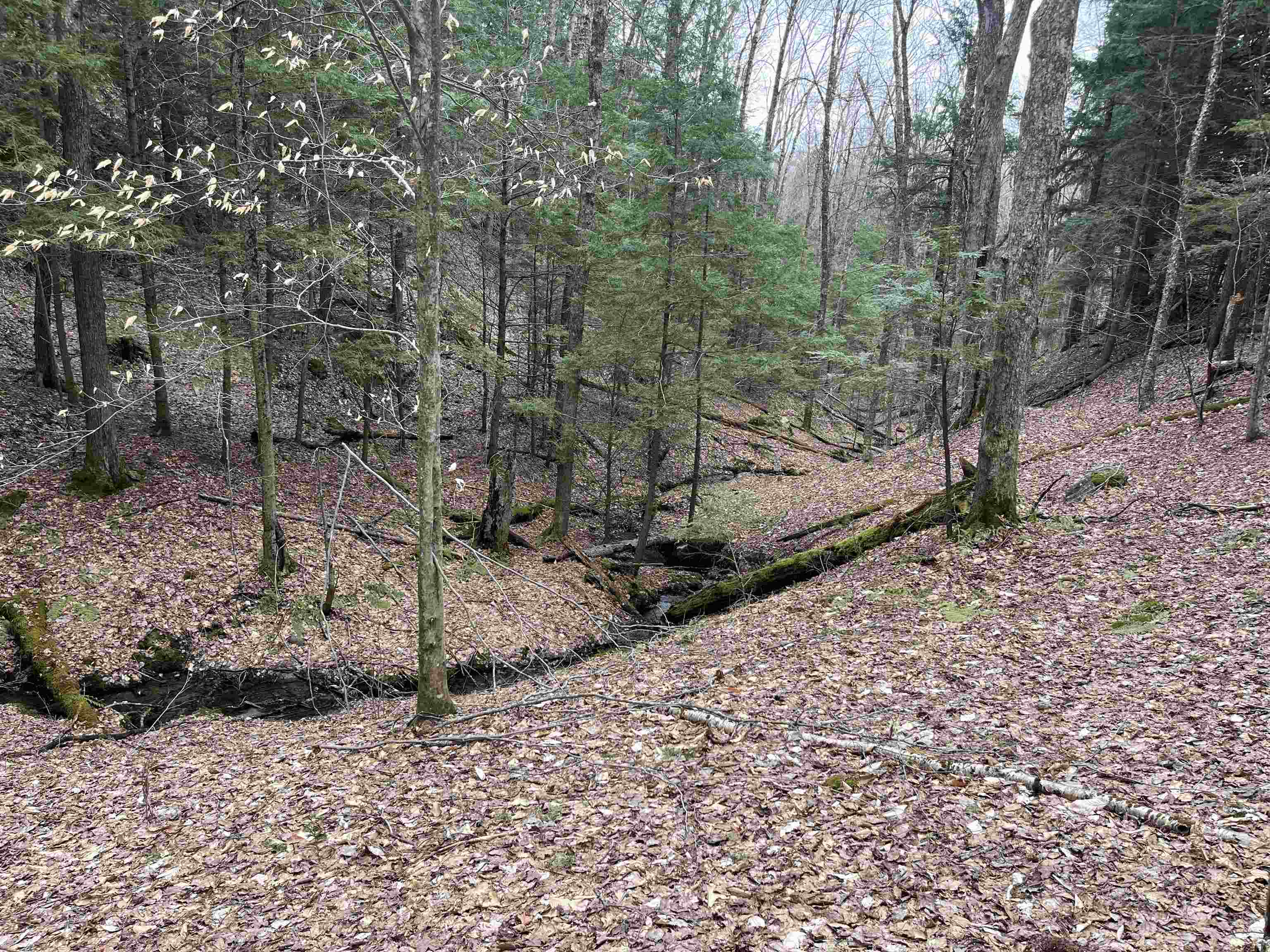 Lot 4 Haley Drive Property Photo