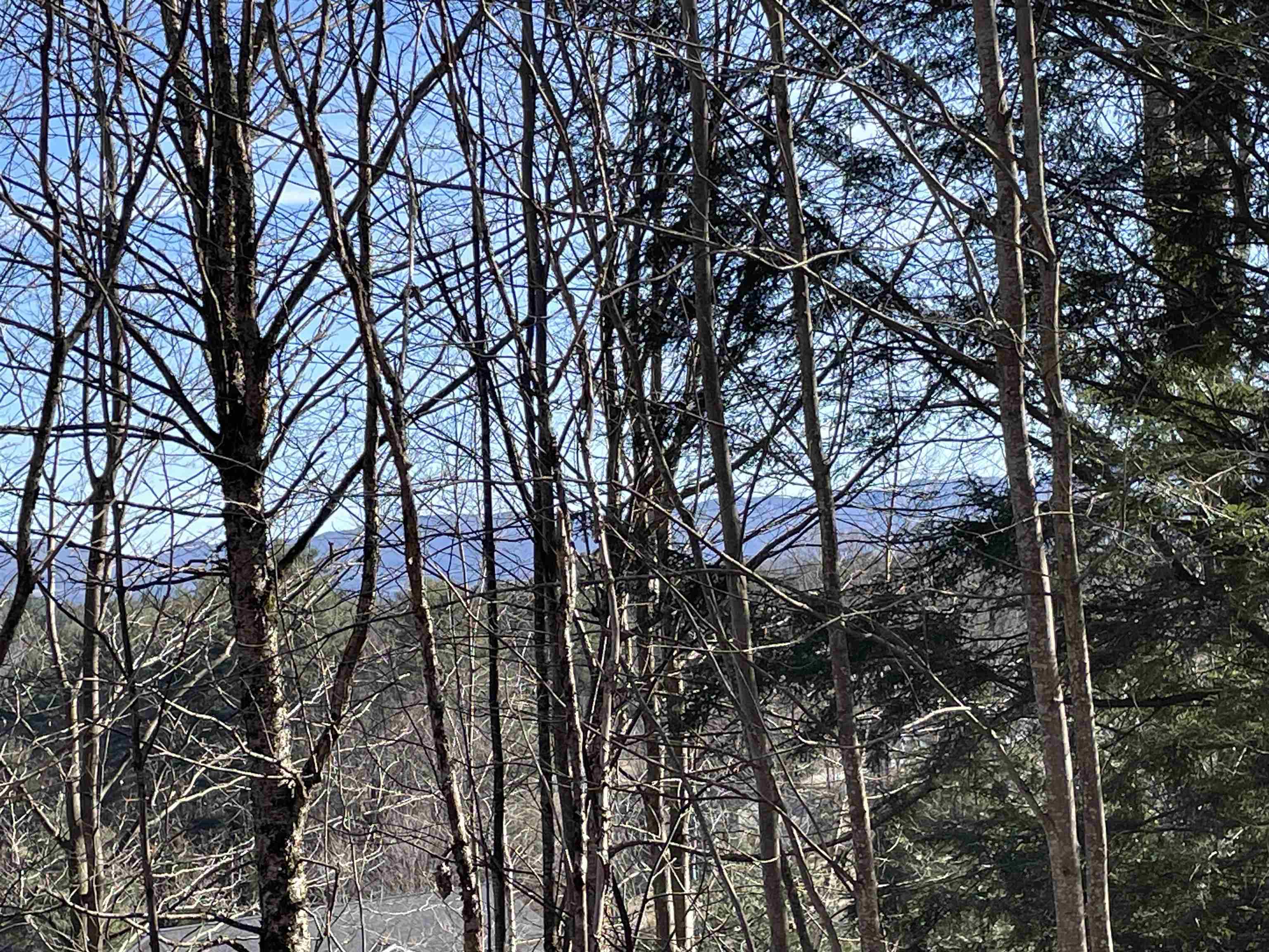 Lot 5 Haley Drive Property Photo