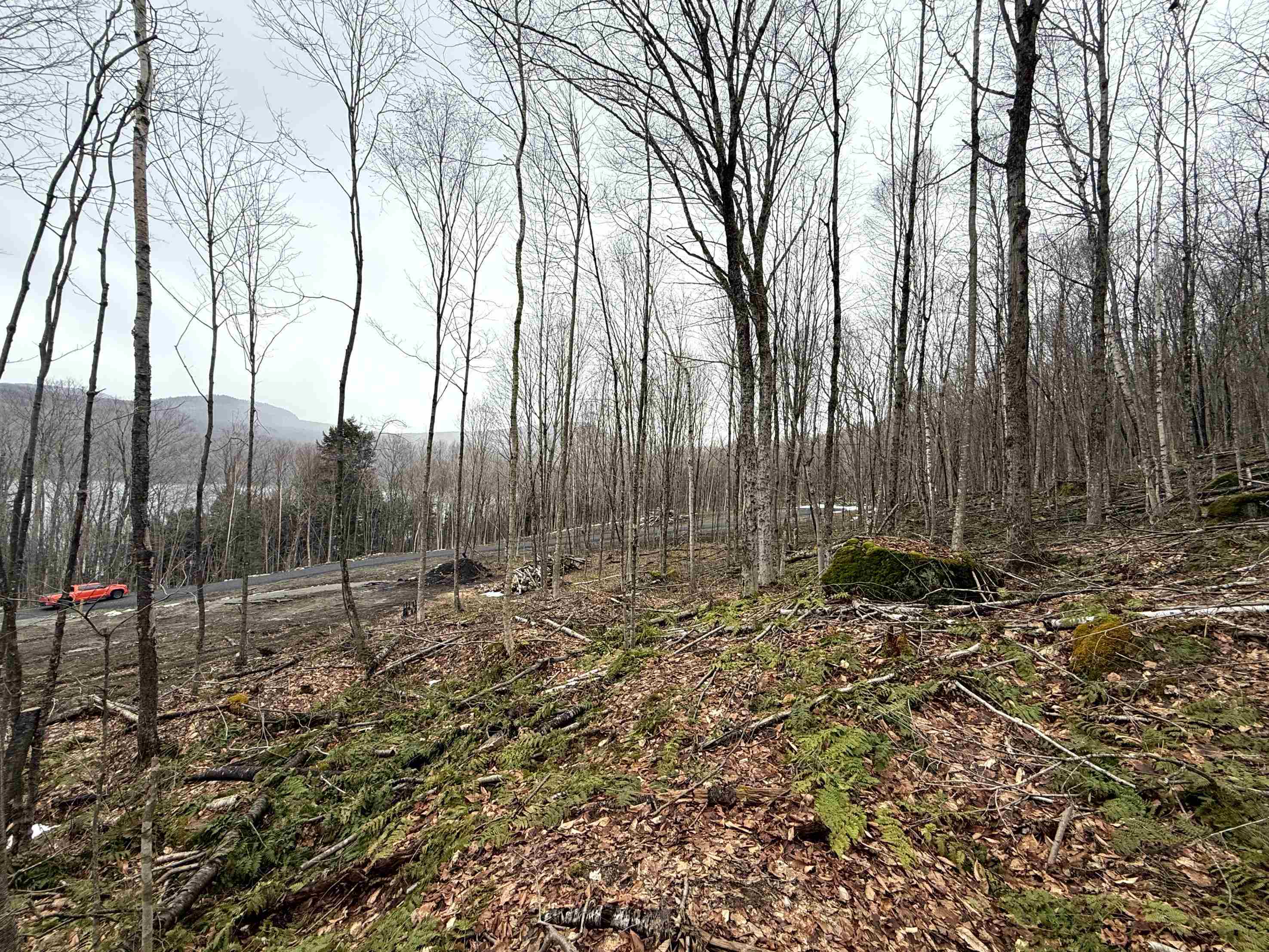 - Foliage Lane Property Photo 9