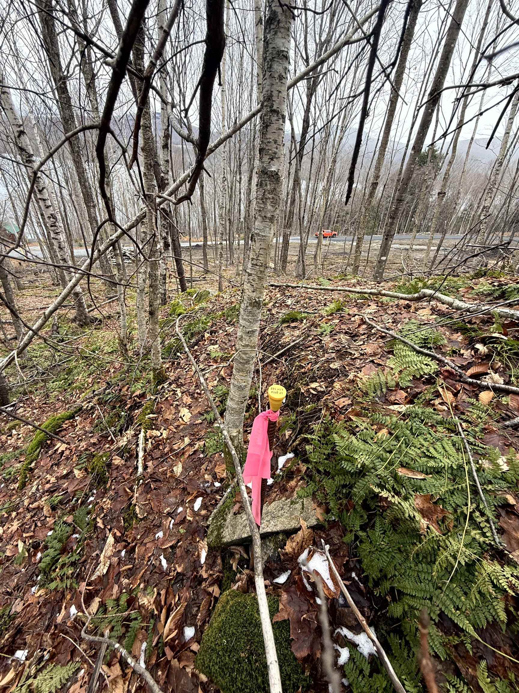 - Foliage Lane Property Photo 10