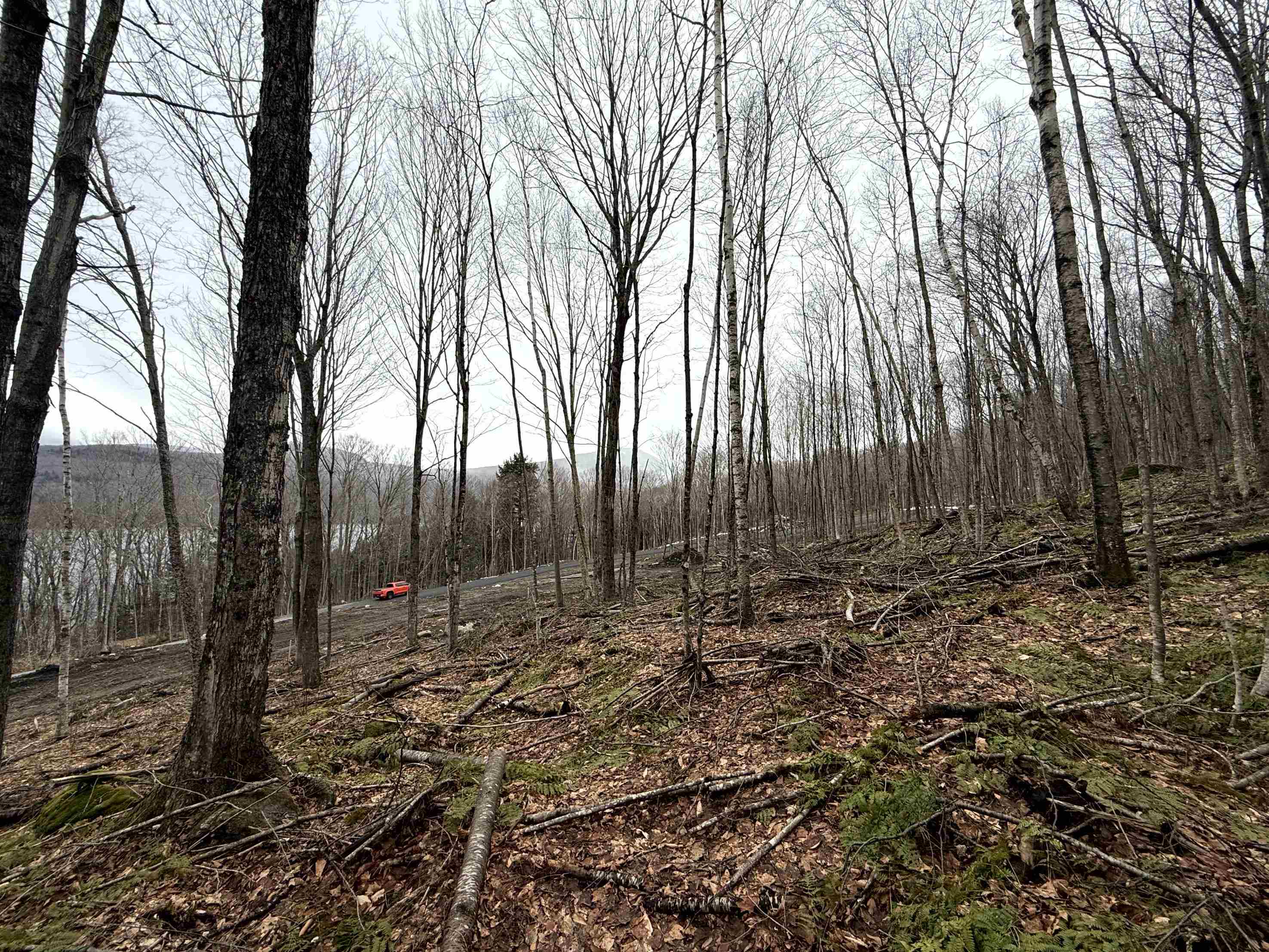 - Foliage Lane Property Photo 11