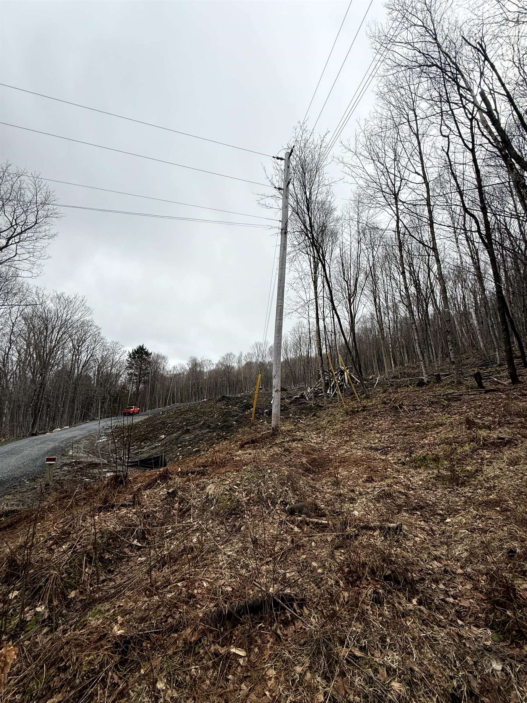 - Foliage Lane Property Photo 12