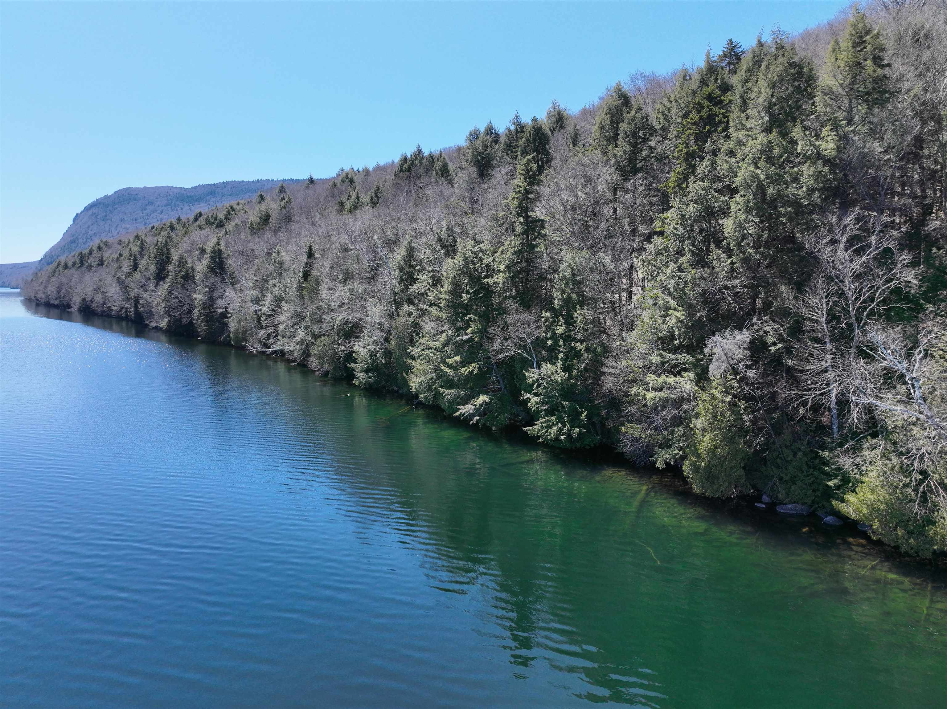 - Foliage Lane Property Photo 20