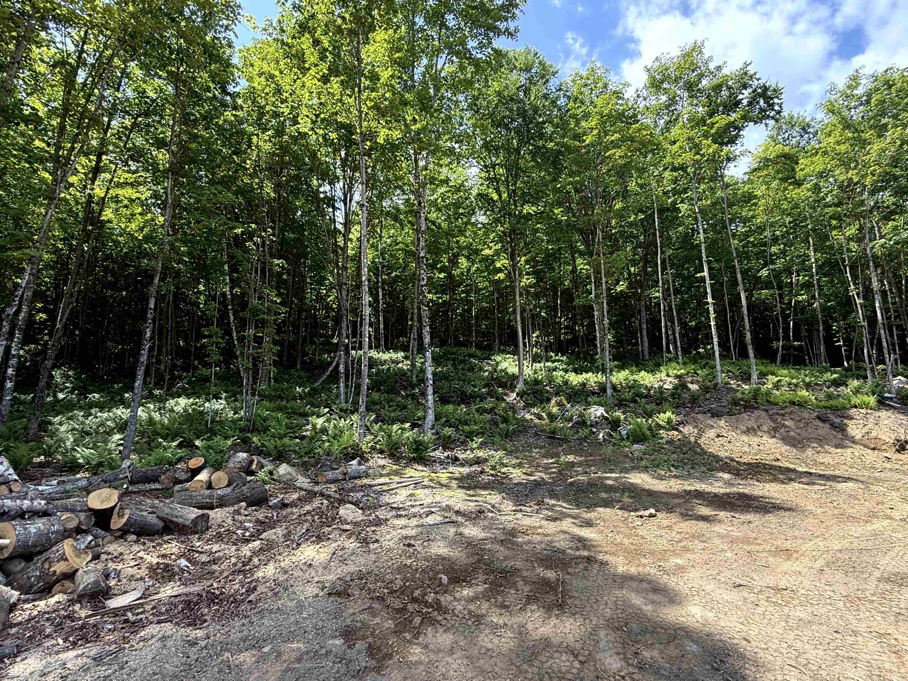 - Foliage Lane Property Photo 21