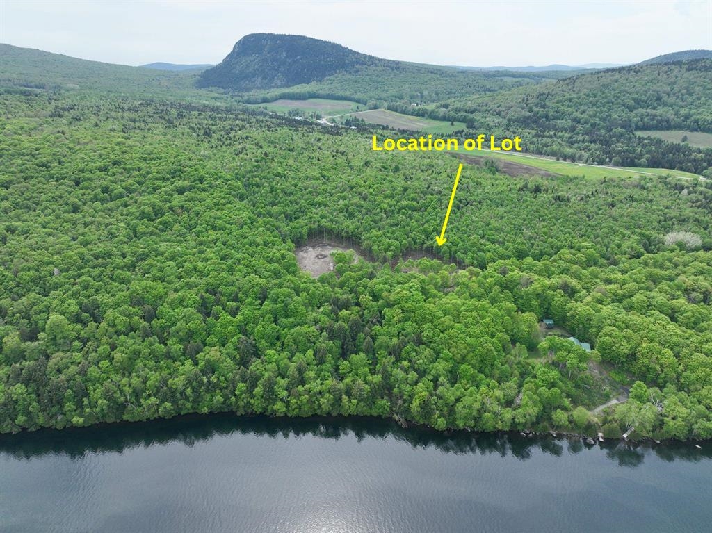 - Foliage Lane Property Photo 22