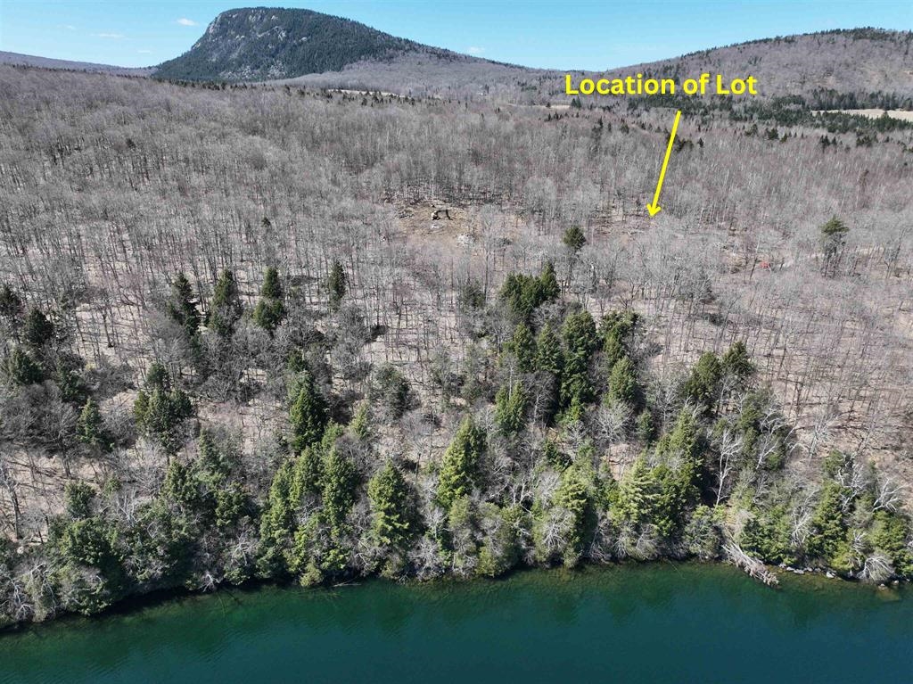 - Foliage Lane Property Photo 23