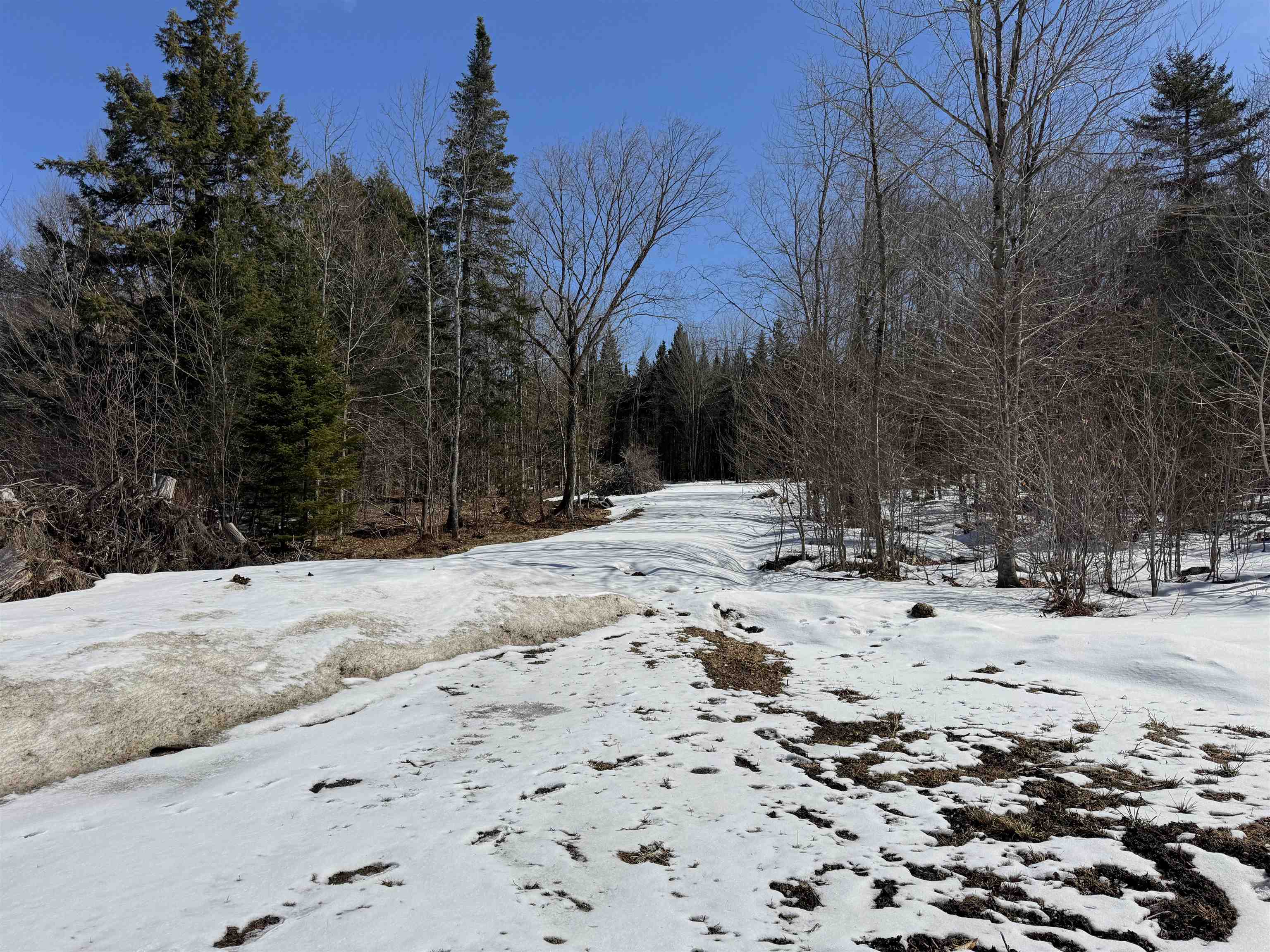 Tbd Belanger Lane Property Photo