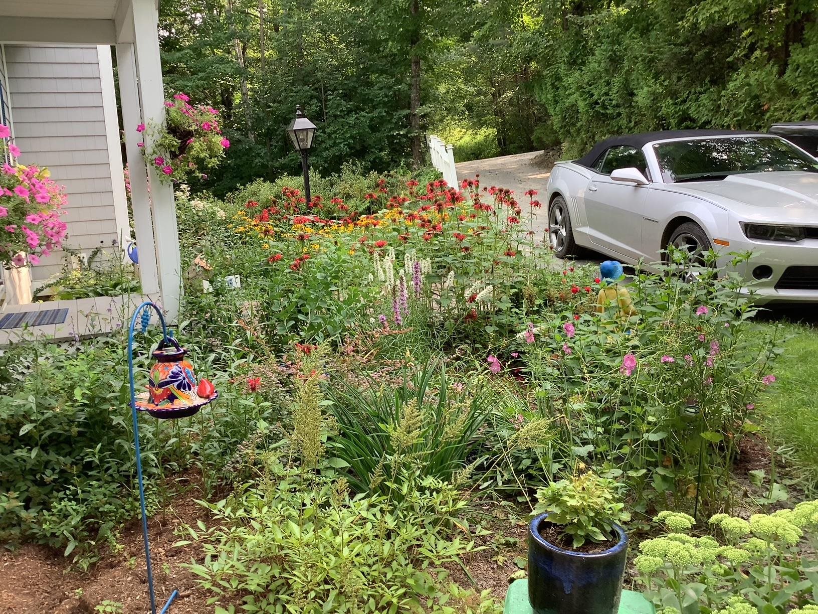 426 West Echo Lake Road Property Photo 17