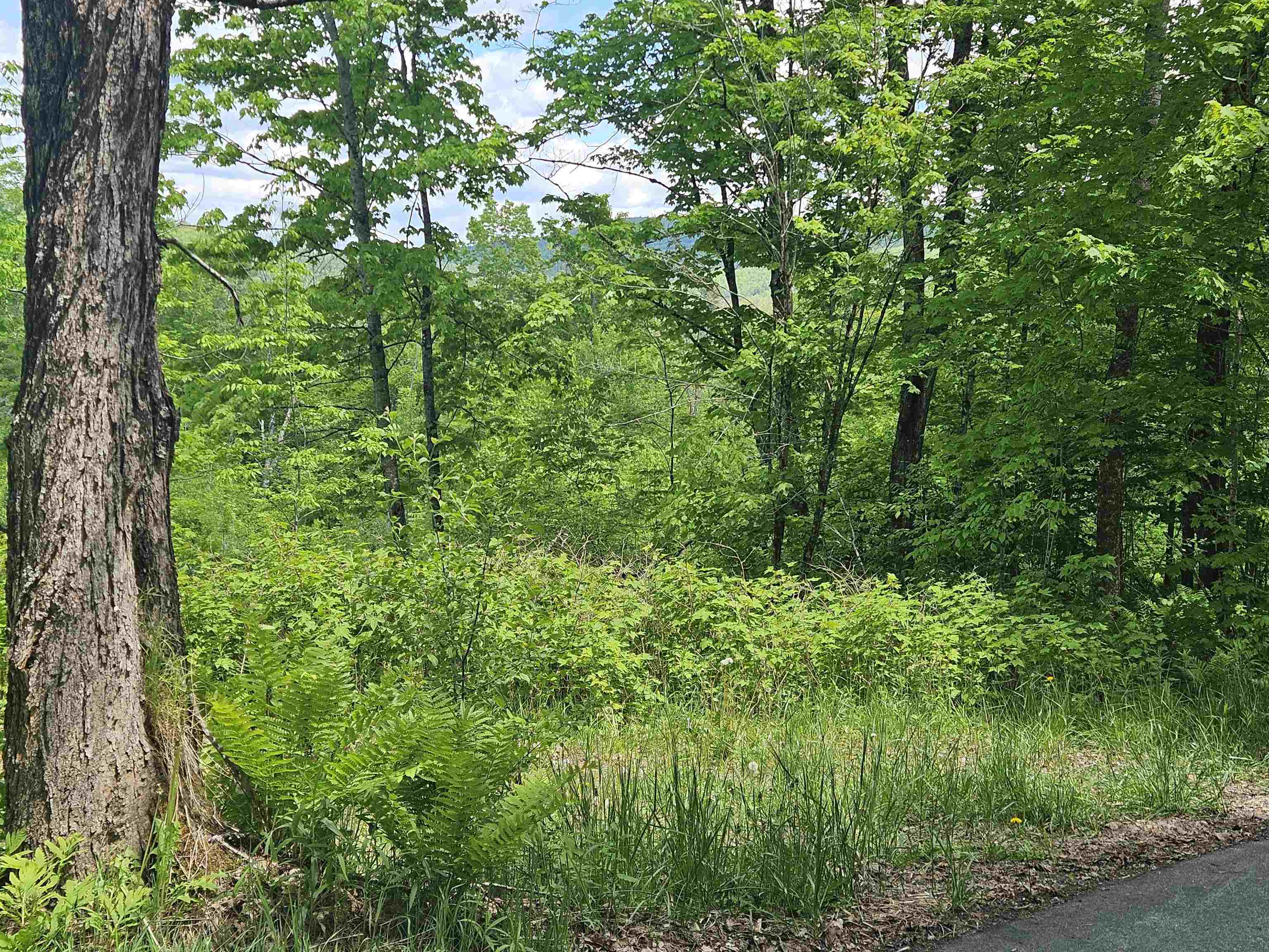 324 Crane Hill Road Property Photo 13