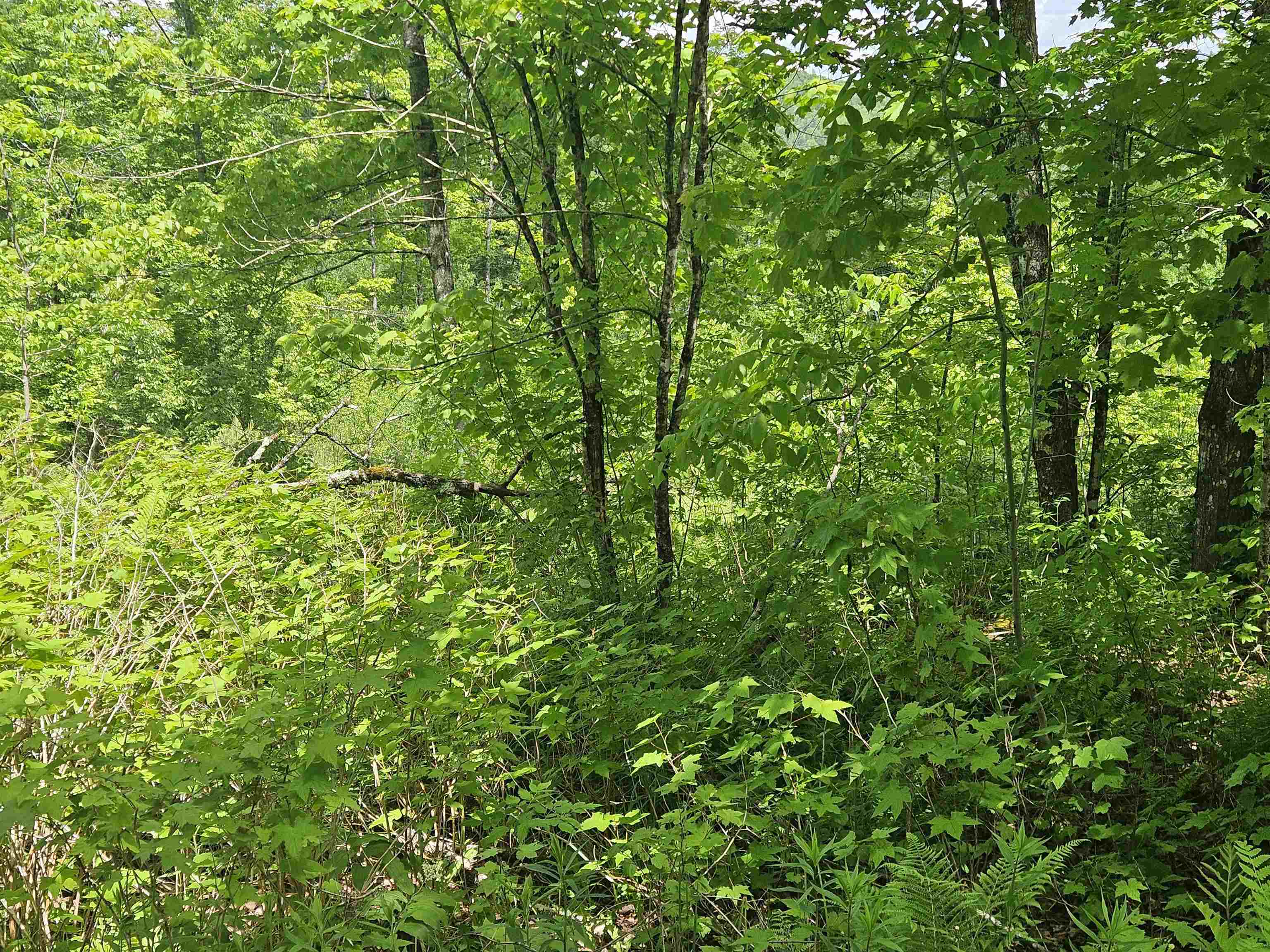324 Crane Hill Road Property Photo 15