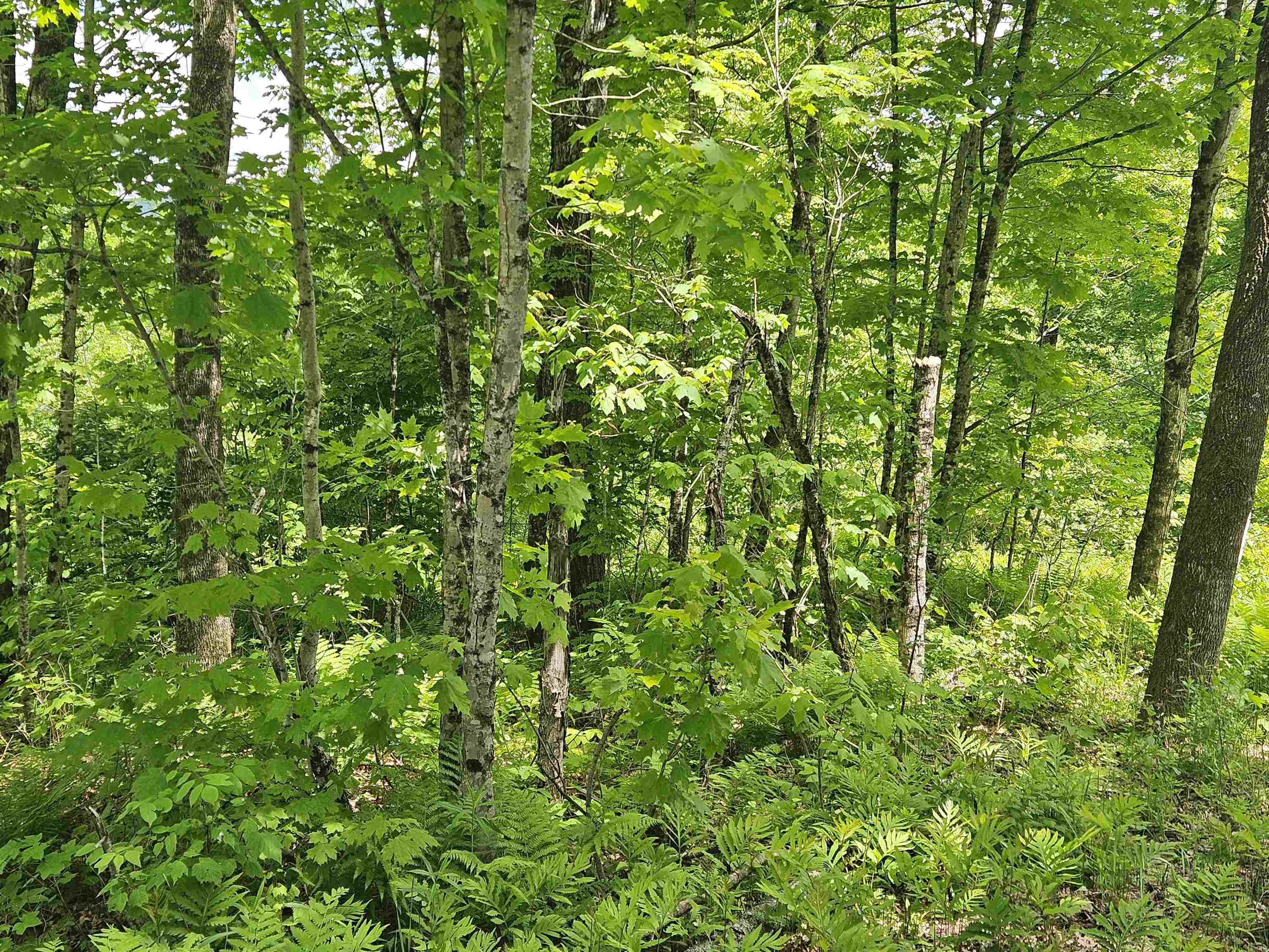 324 Crane Hill Road Property Photo 16