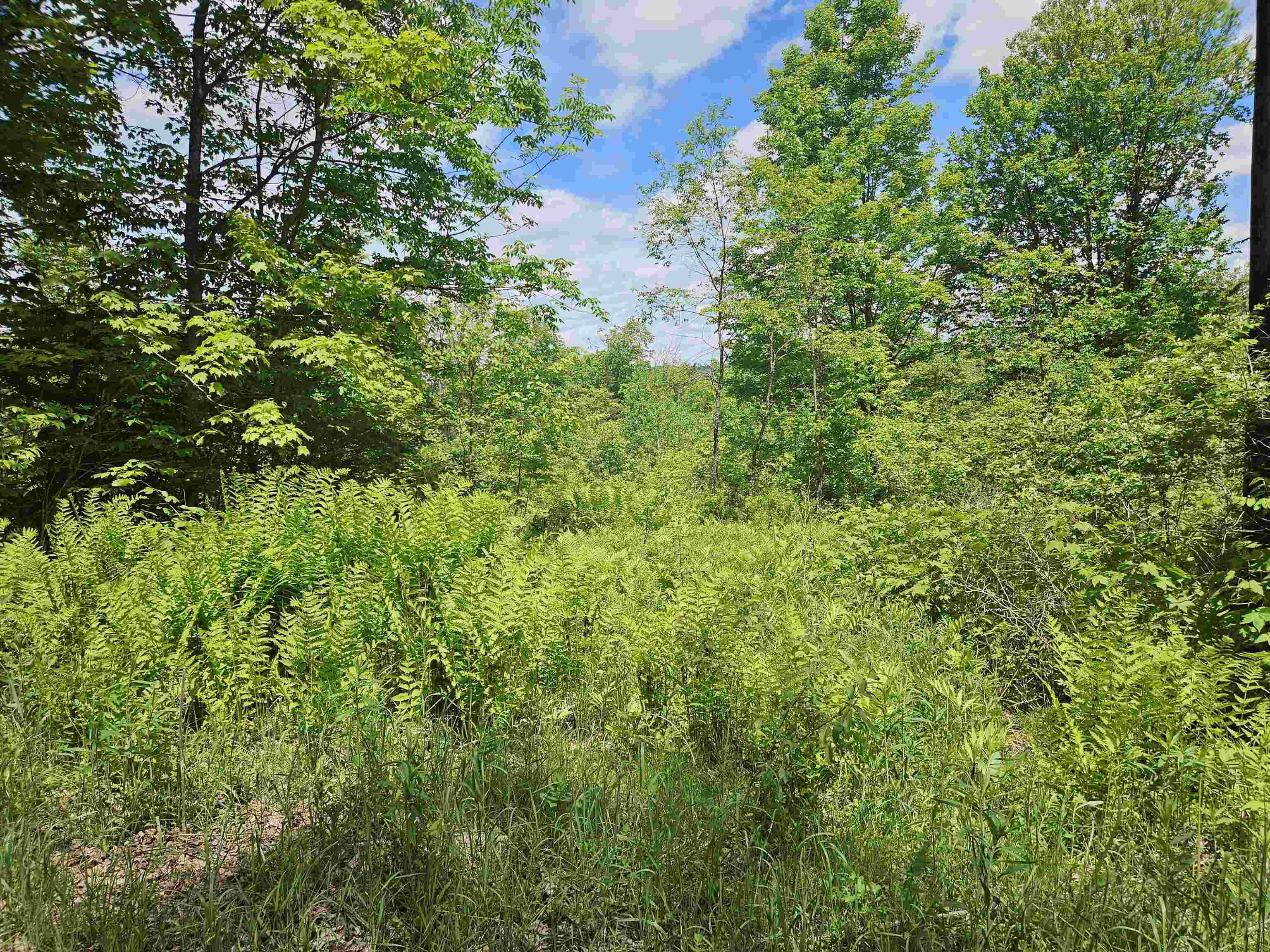 324 Crane Hill Road Property Photo 19