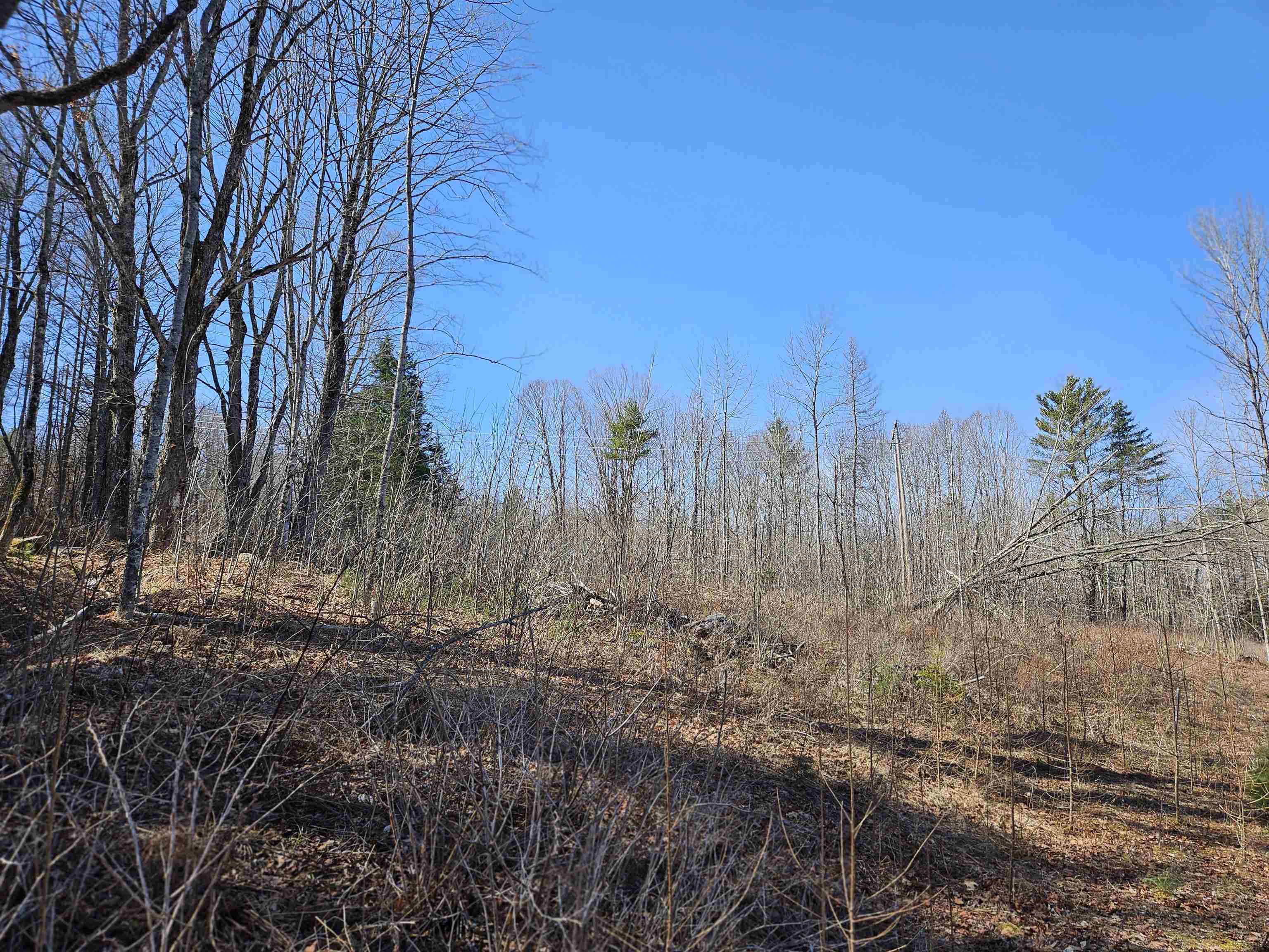 324 Crane Hill Road Property Photo 23