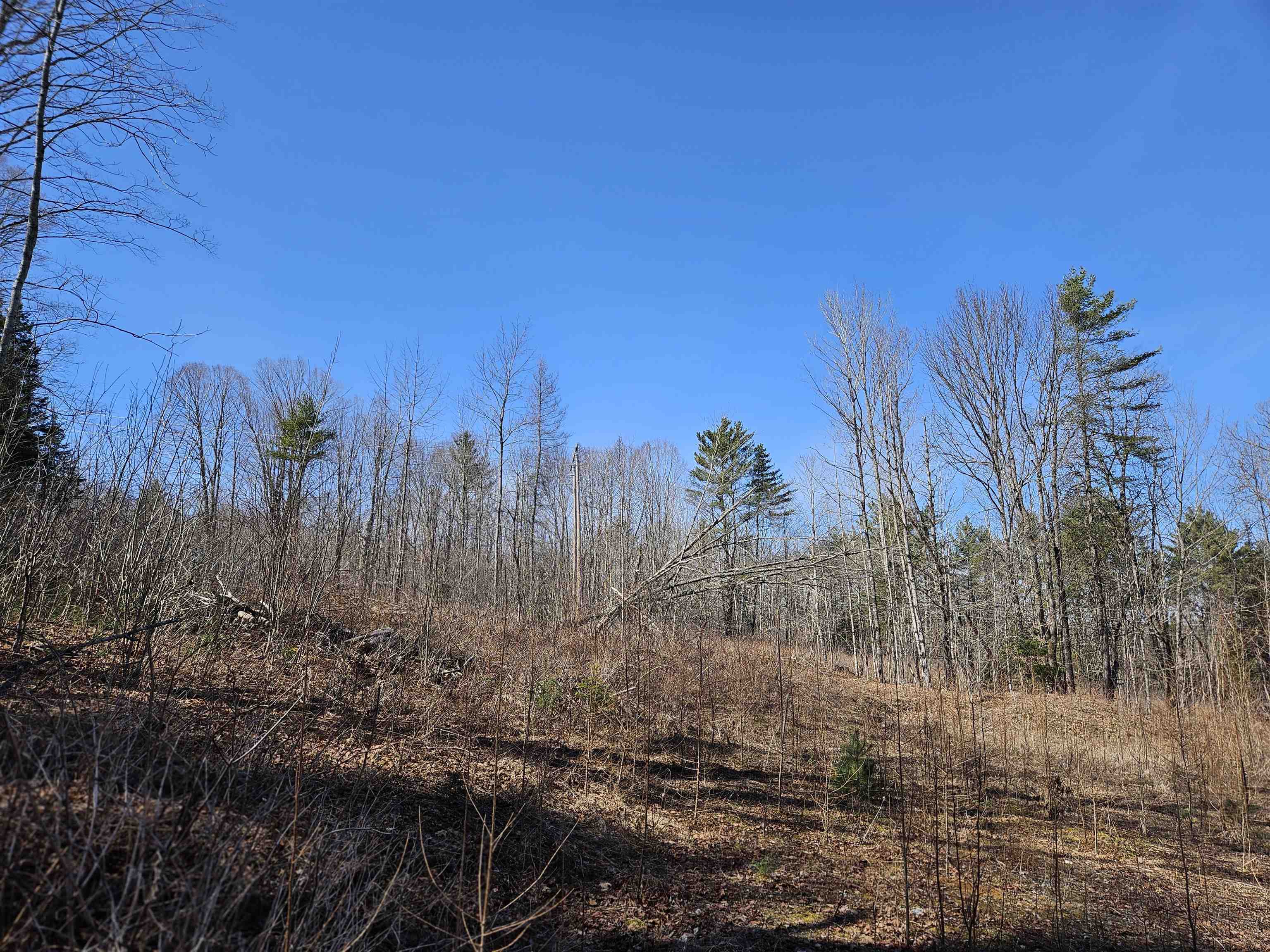 324 Crane Hill Road Property Photo 24