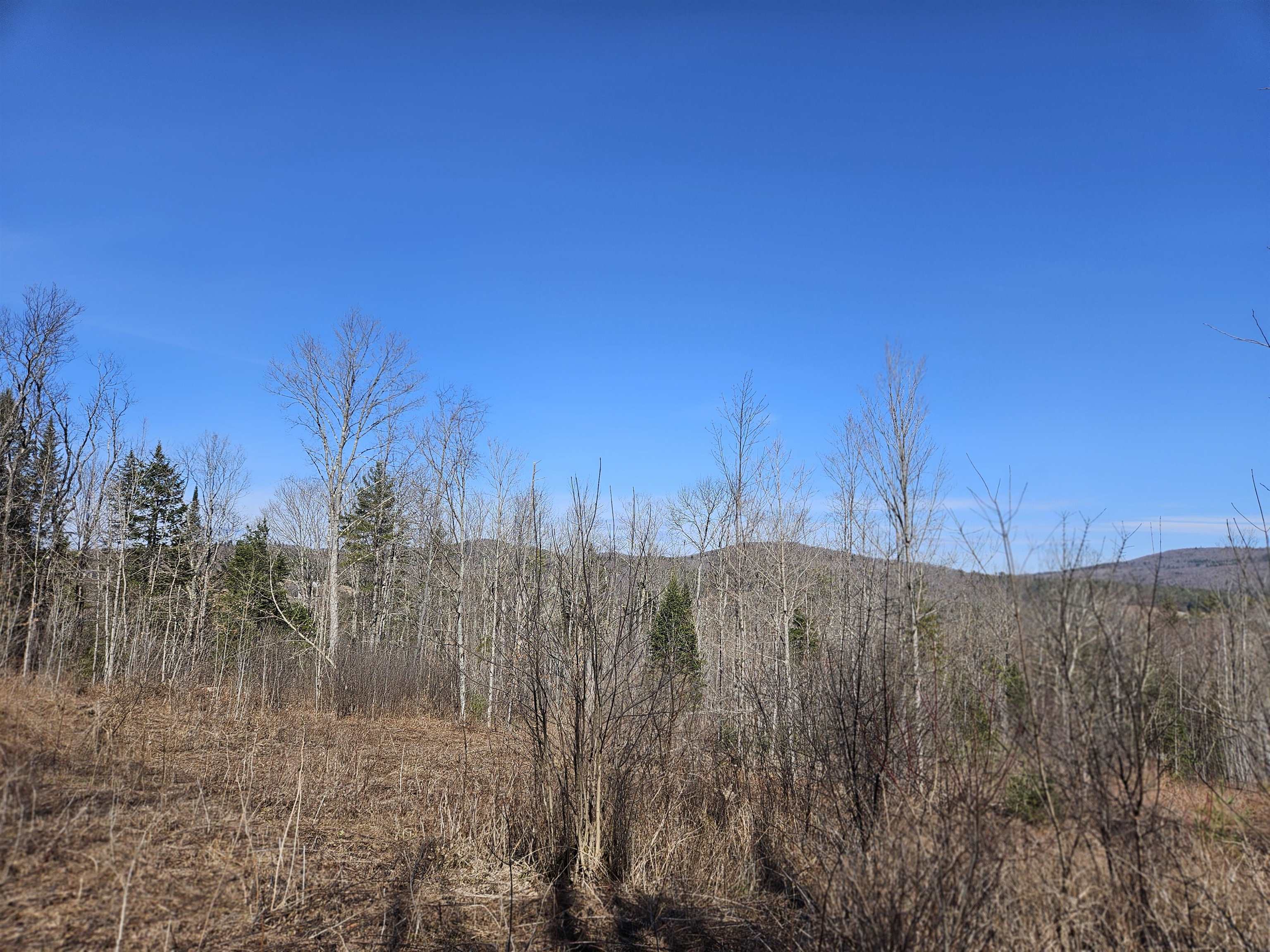 324 Crane Hill Road Property Photo 25