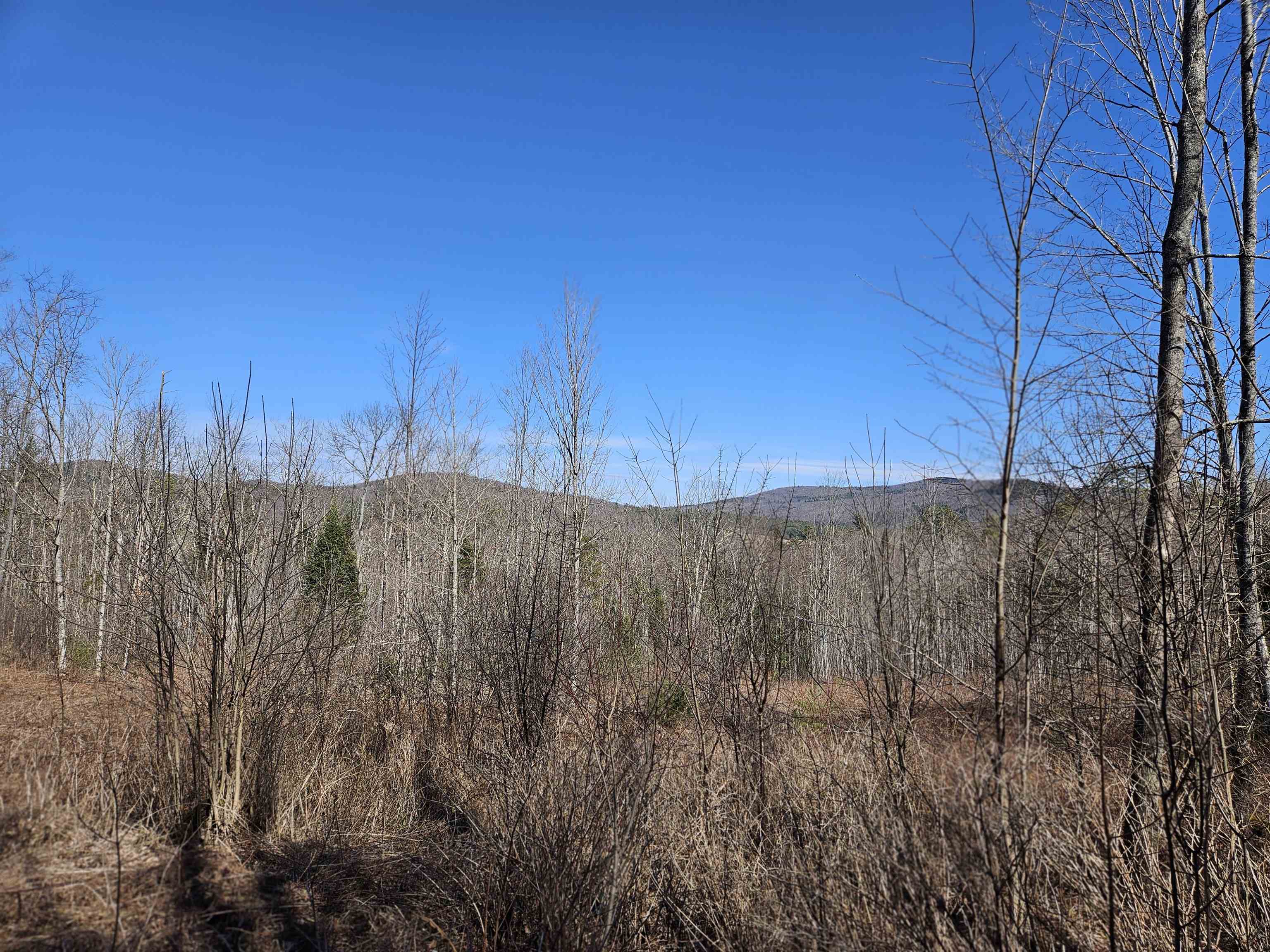 324 Crane Hill Road Property Photo 26