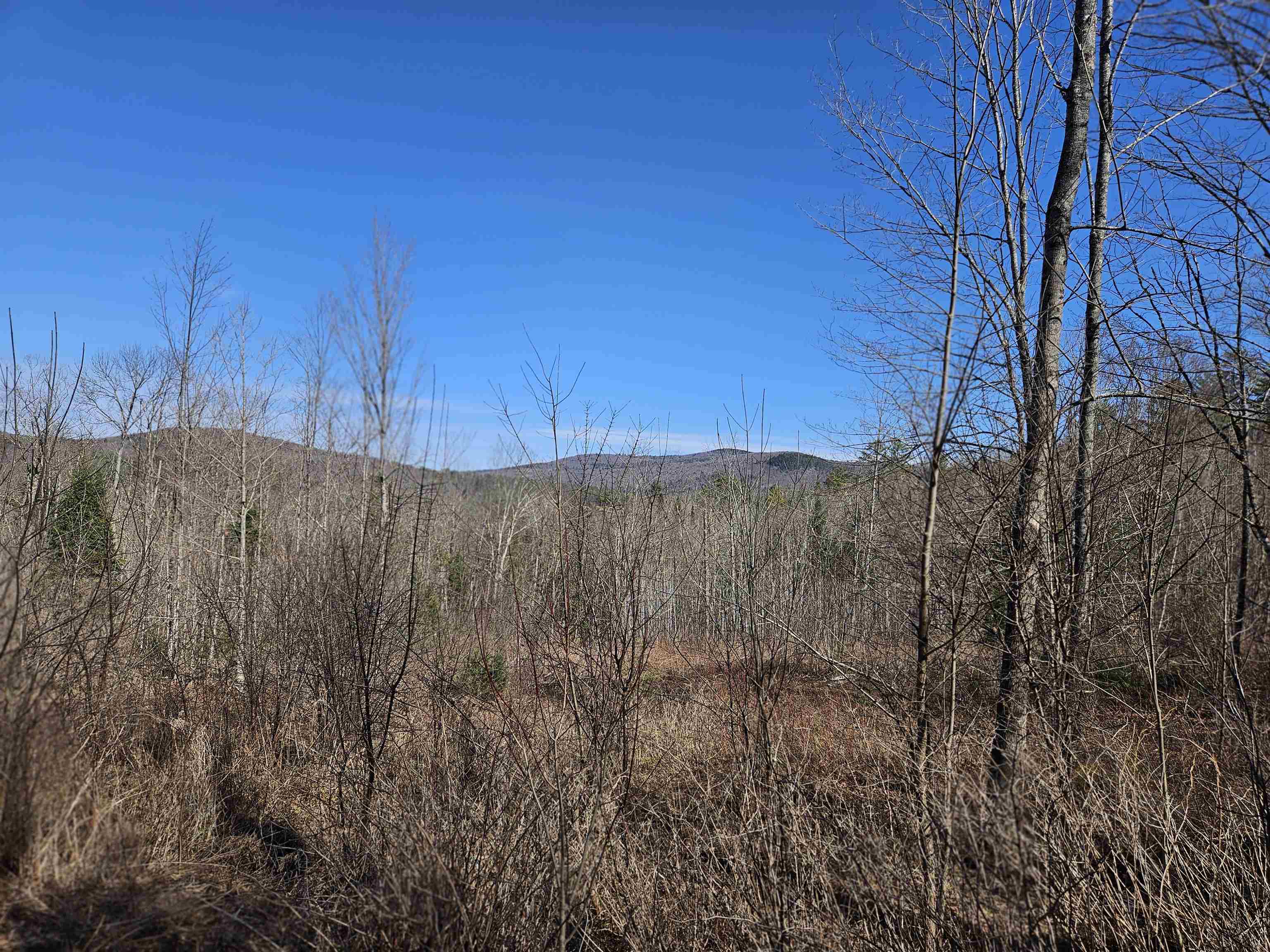 324 Crane Hill Road Property Photo 27
