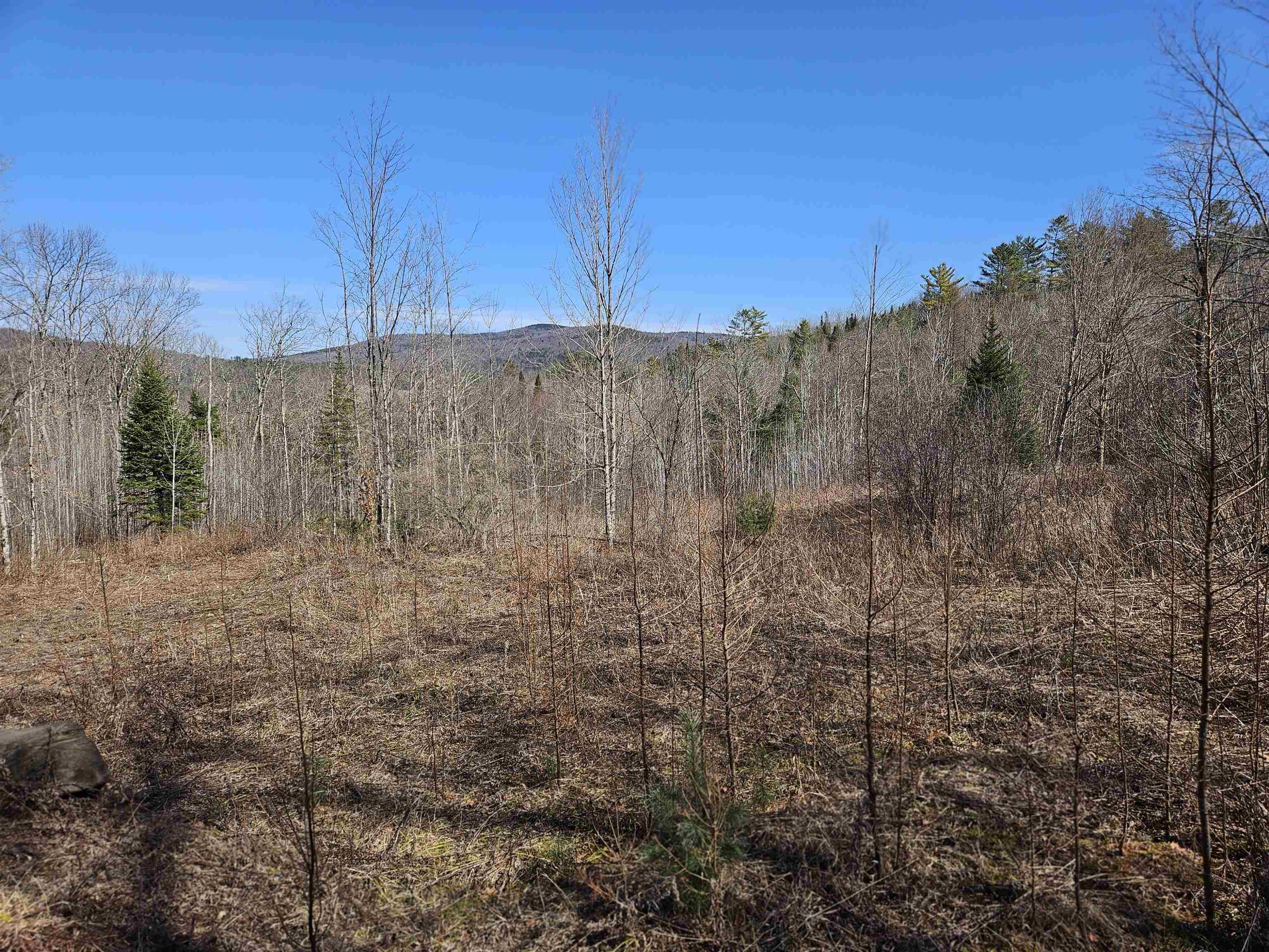 324 Crane Hill Road Property Photo 28