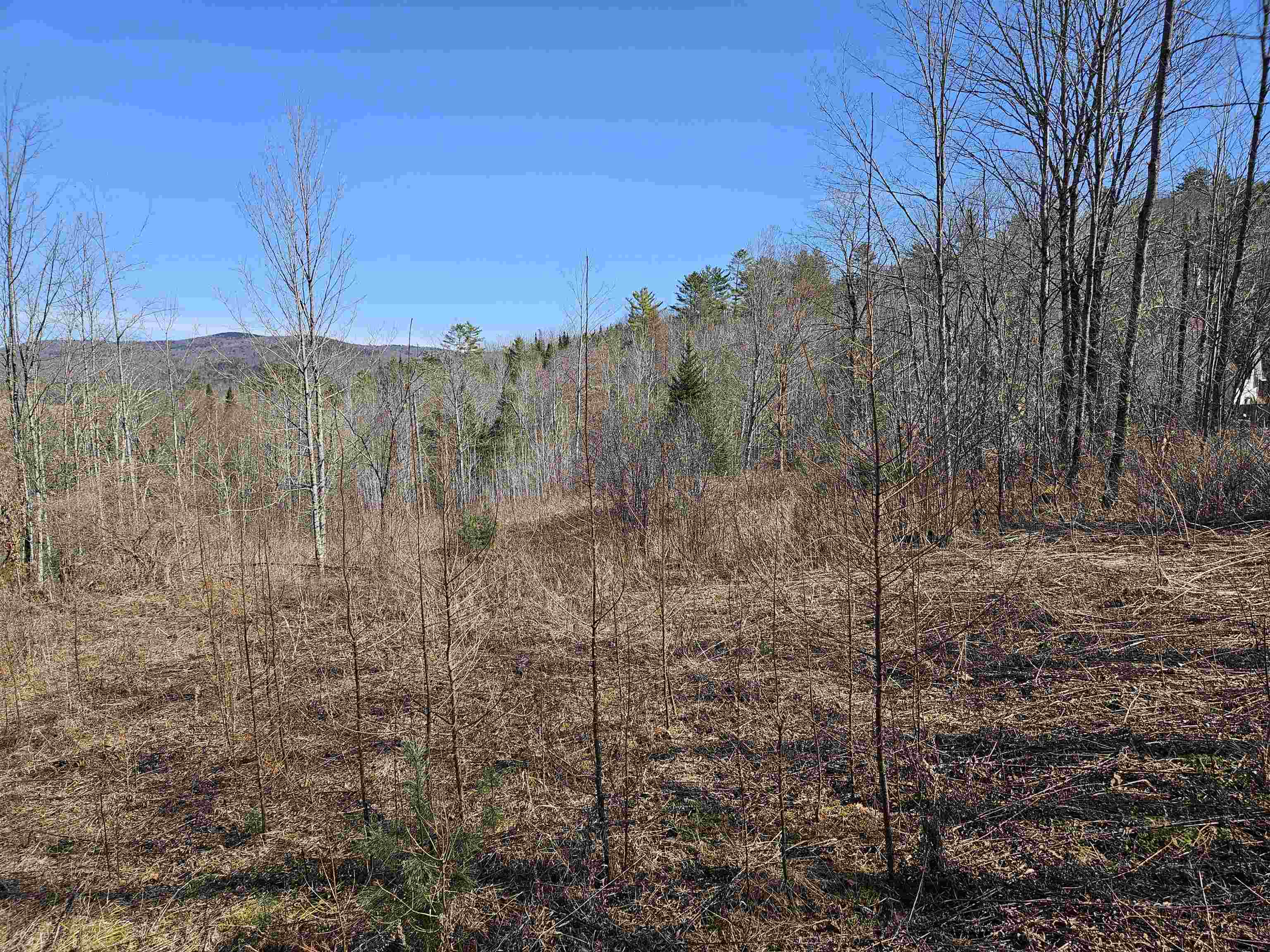 324 Crane Hill Road Property Photo 29