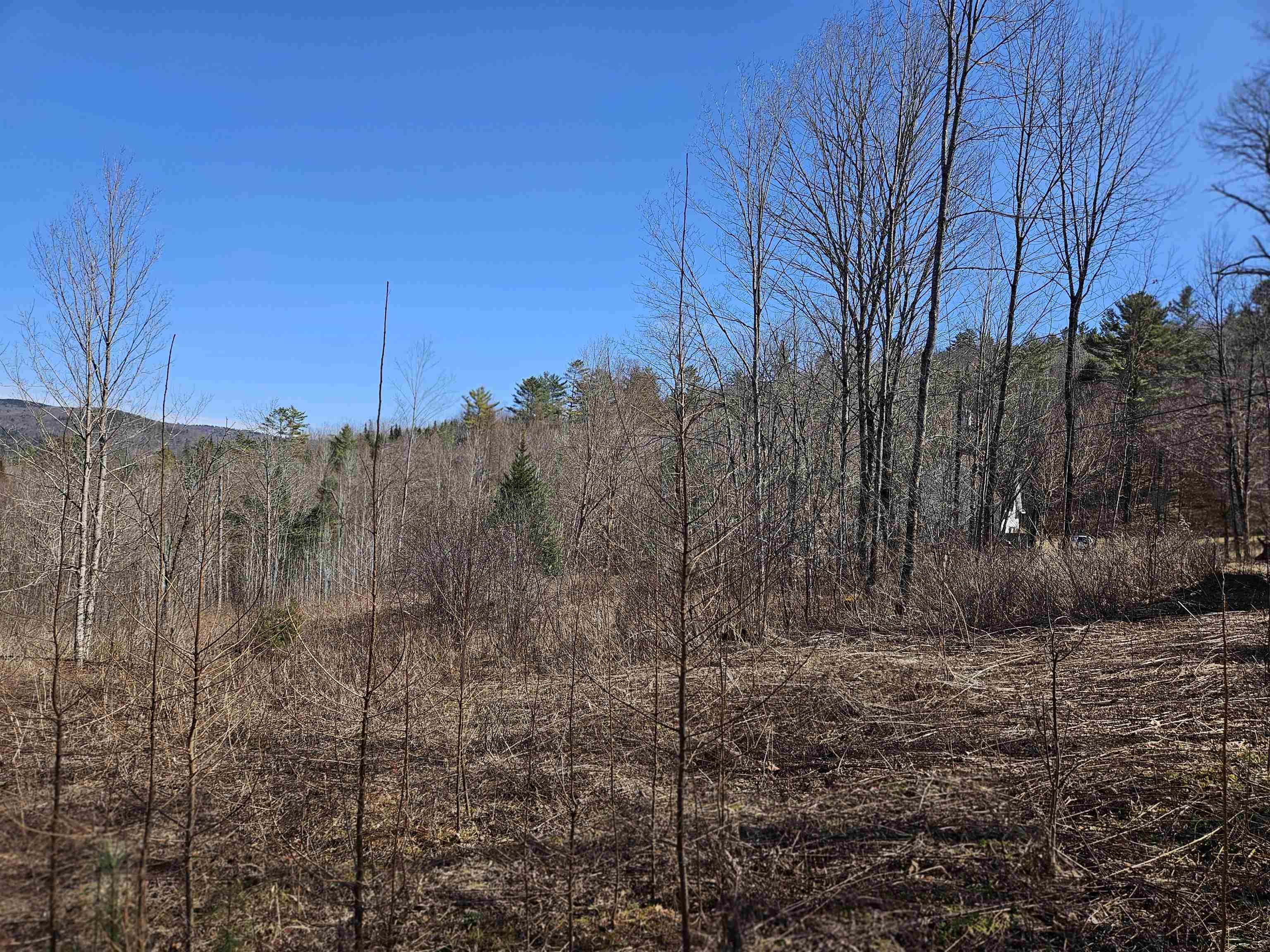 324 Crane Hill Road Property Photo 30